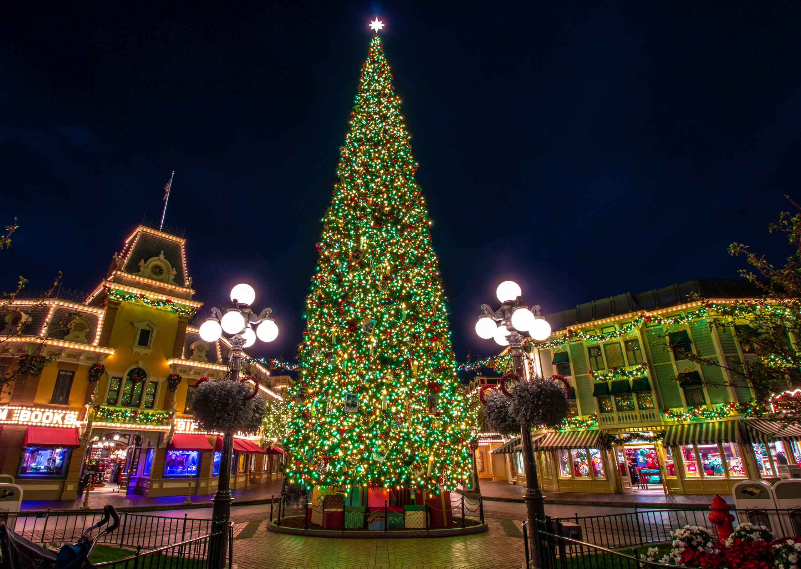 California Christmas Christmas Lights Christmas Tree Disneyland 2560x1820