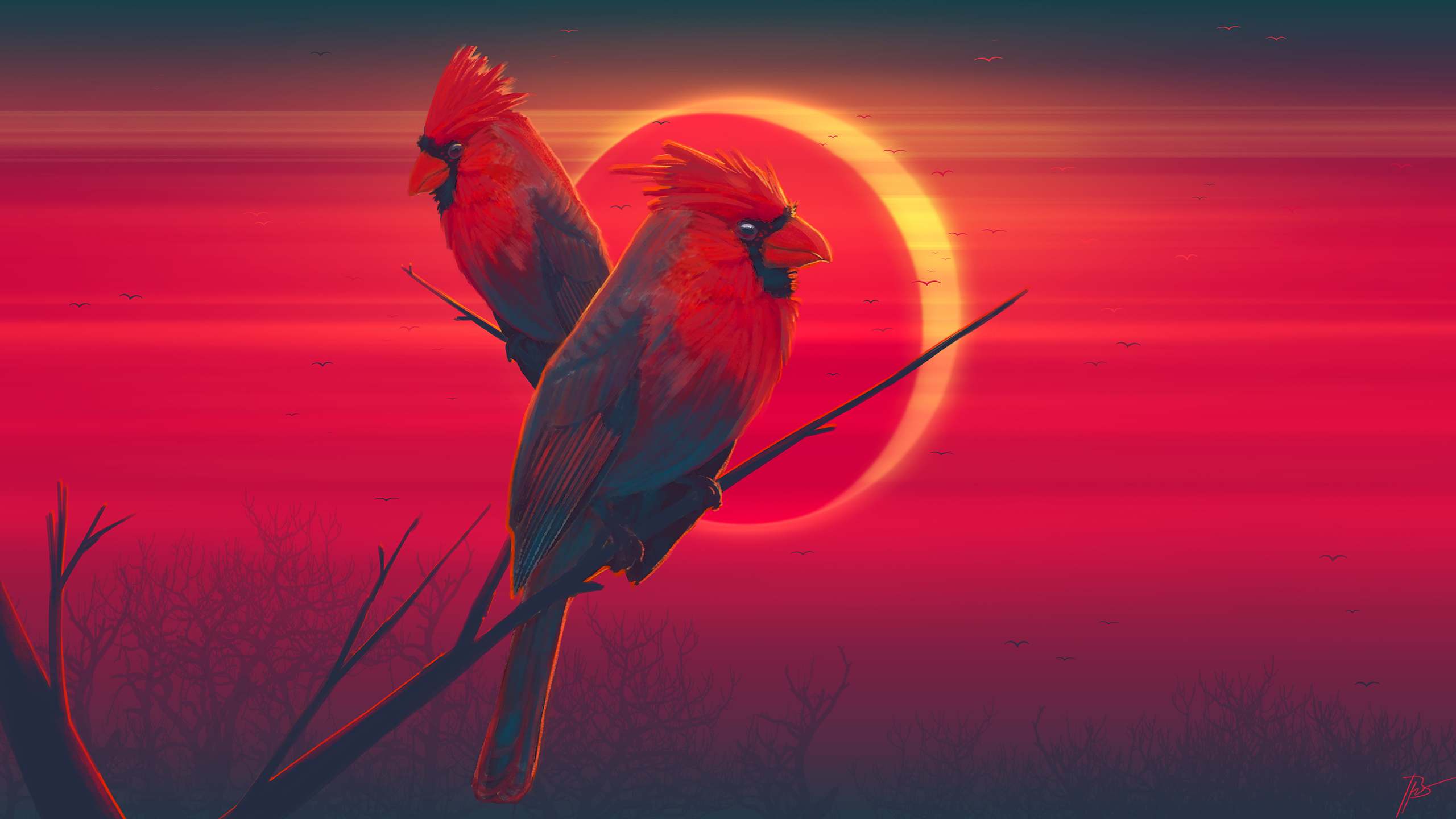 Artistic Bird Eclipse 2560x1440