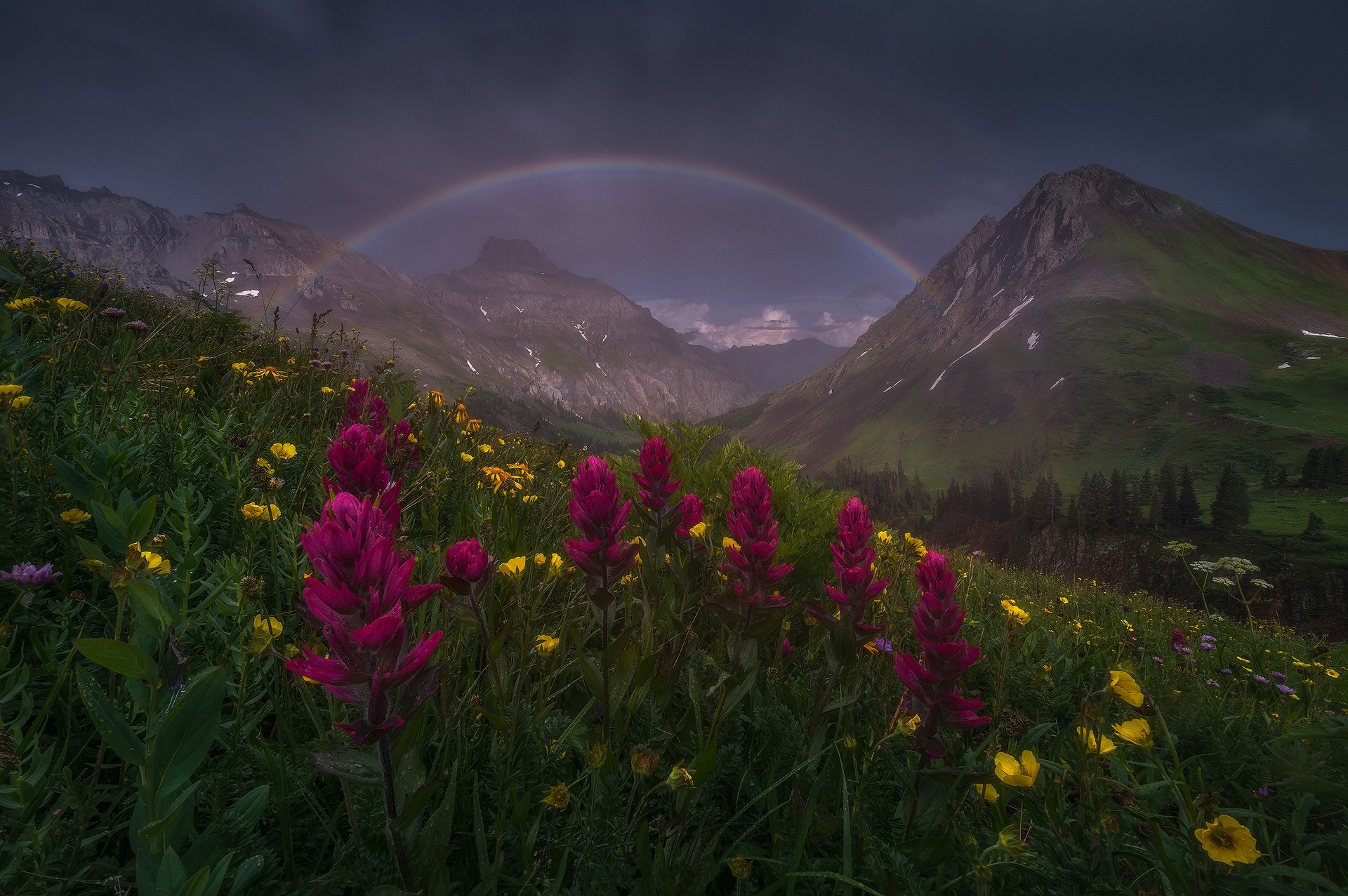 Flower Landscape Mountain Nature Rainbow 1920x1277