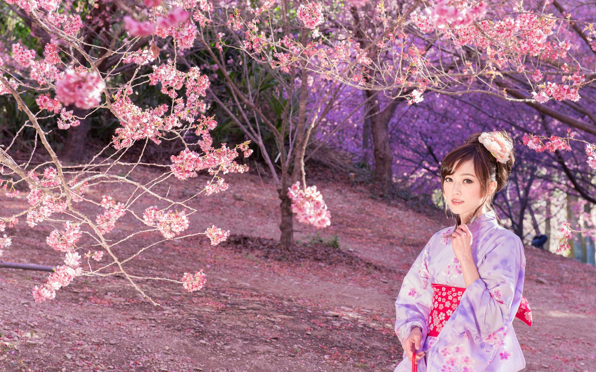 Asian Brunette Depth Of Field Girl Kimono Model Woman 2048x1278