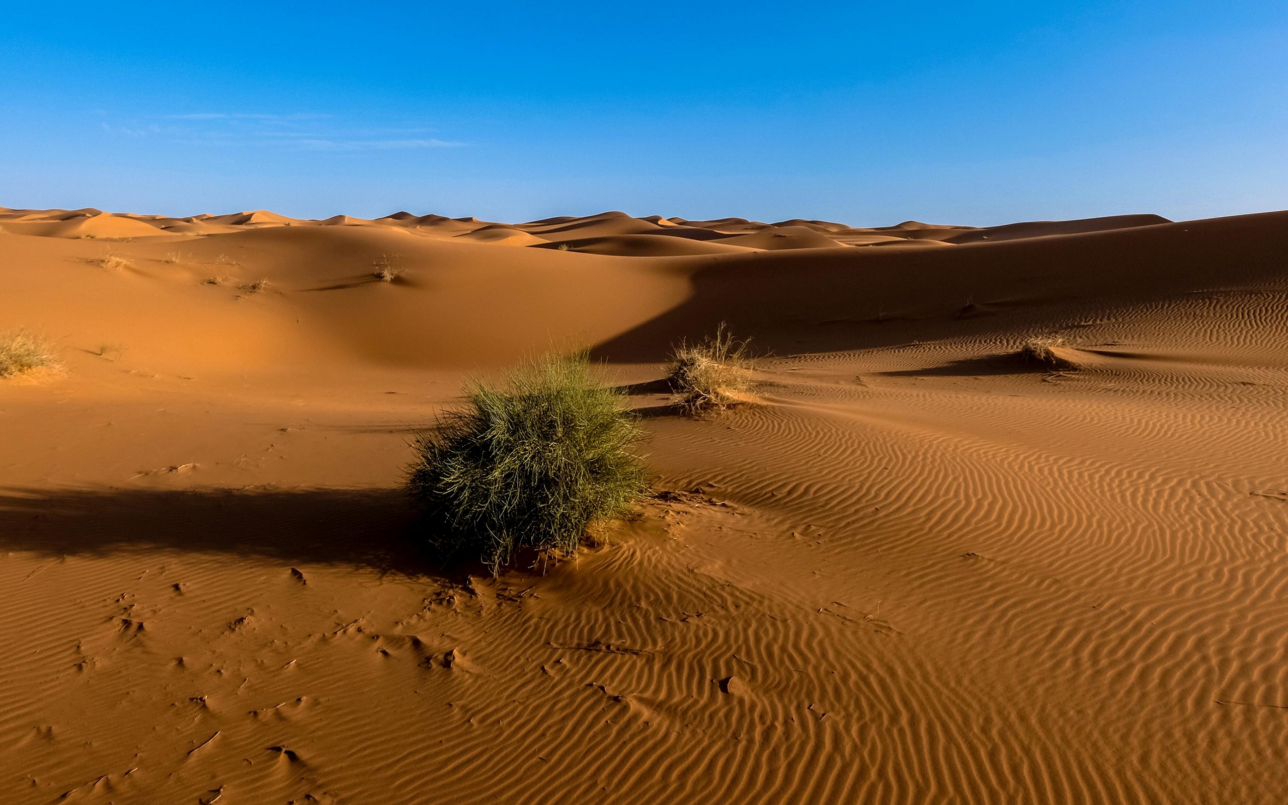 Desert Sand Sky 2560x1600