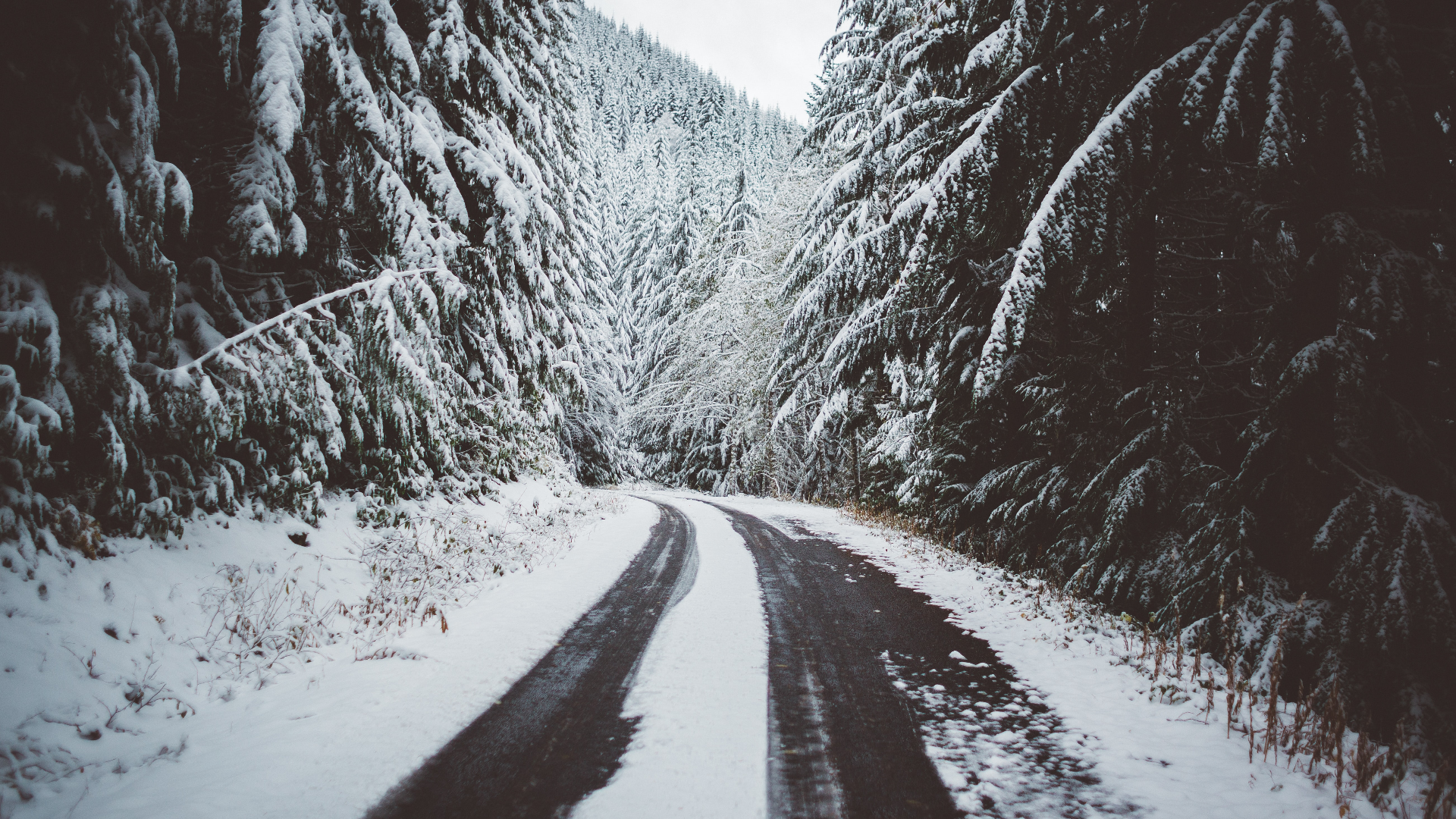 Nature Road Snow Trees Mountains Forest Winter USA Oregon 1920x1080