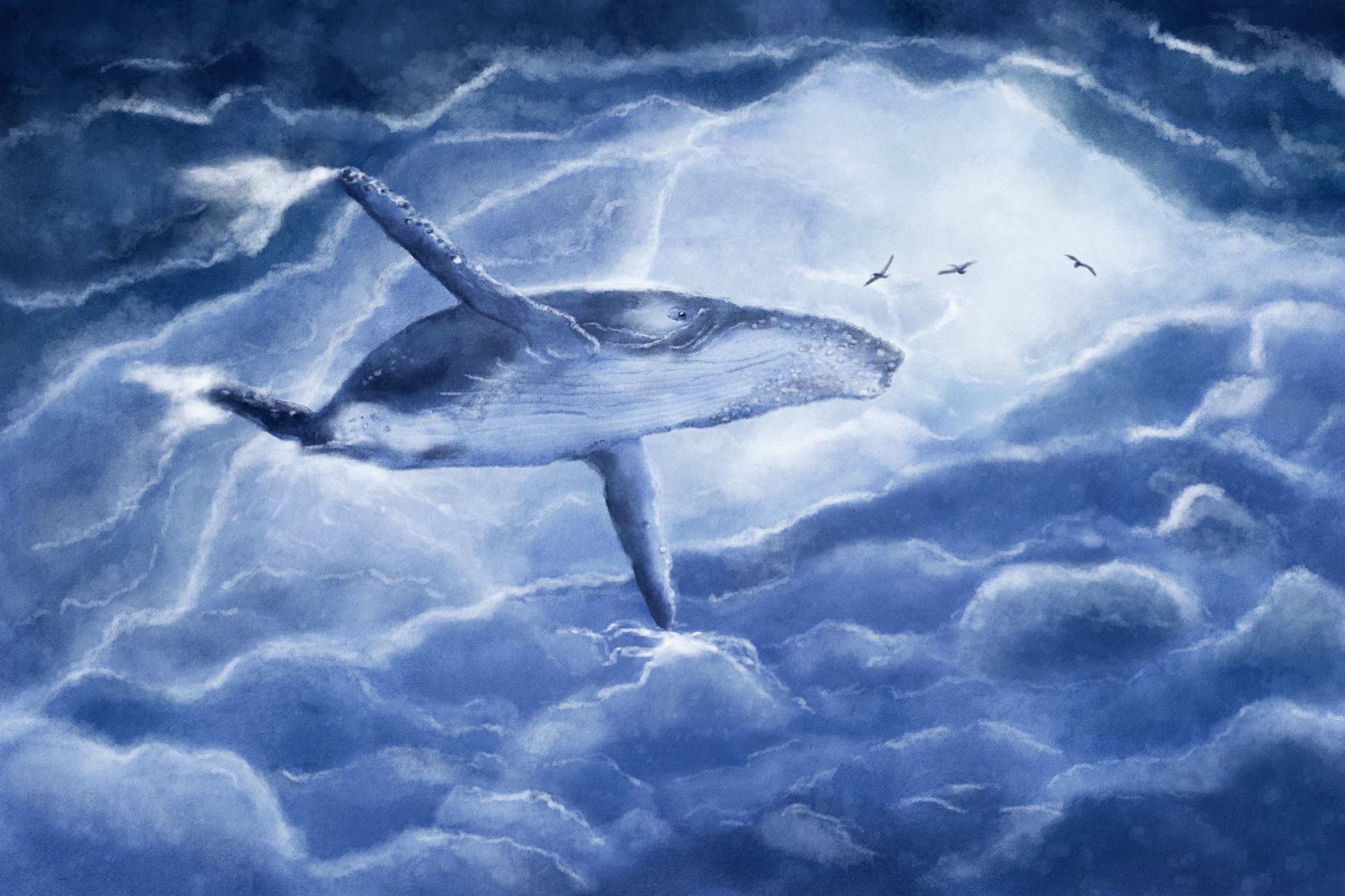 Cloud Whale 2440x1626