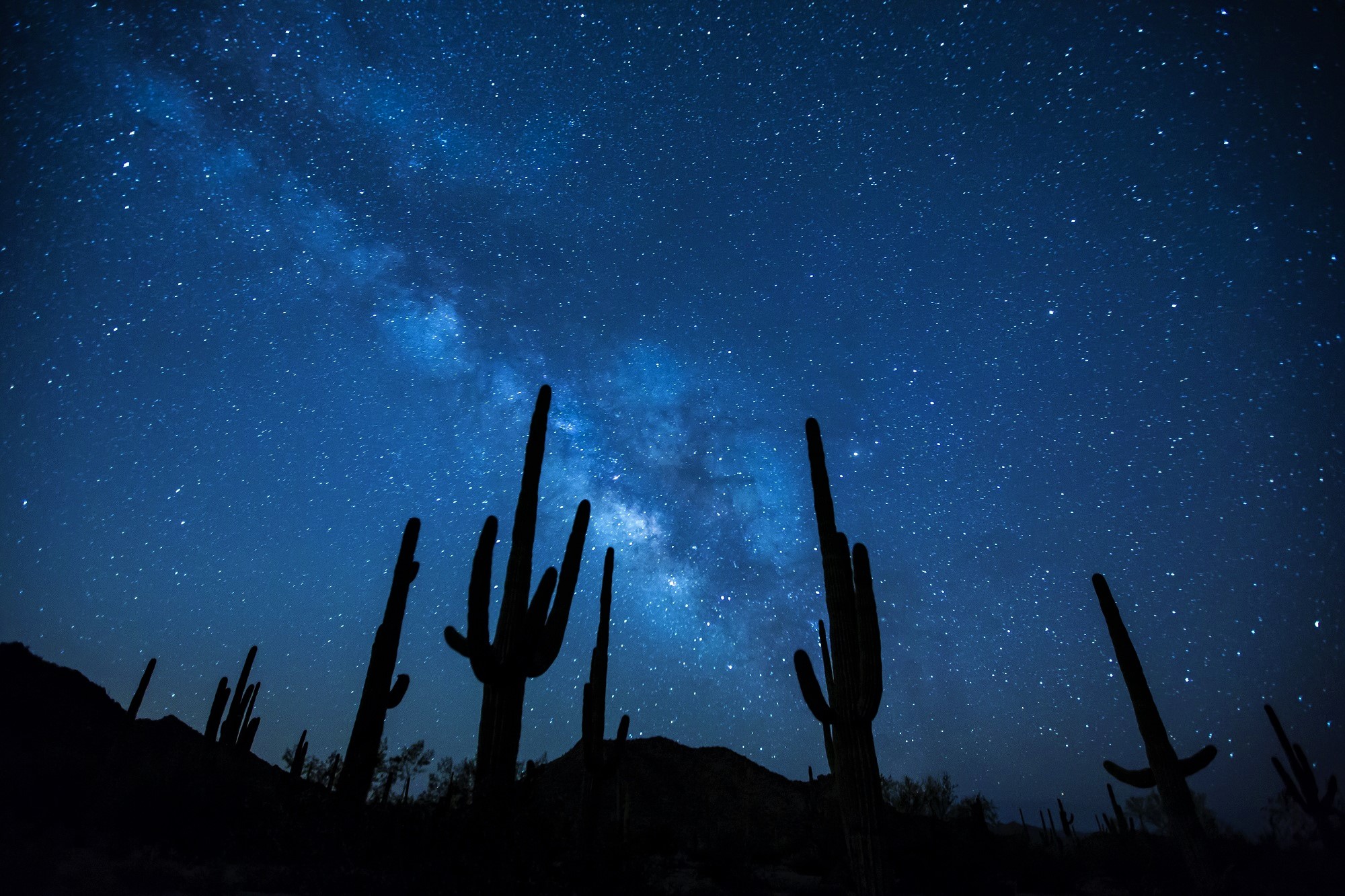 Cactus Desert Earth Galaxy Milky Way Night Silhouette Sky Starry Sky Stars 2000x1333