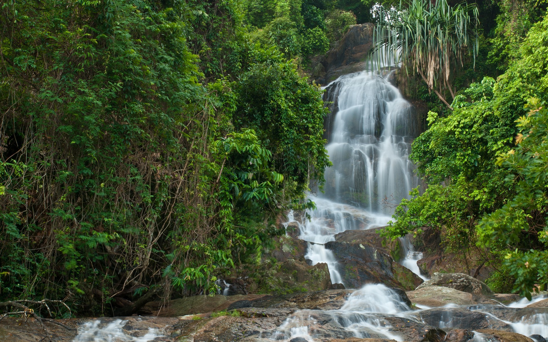 Forest Nature Thailand Waterfall 1920x1200