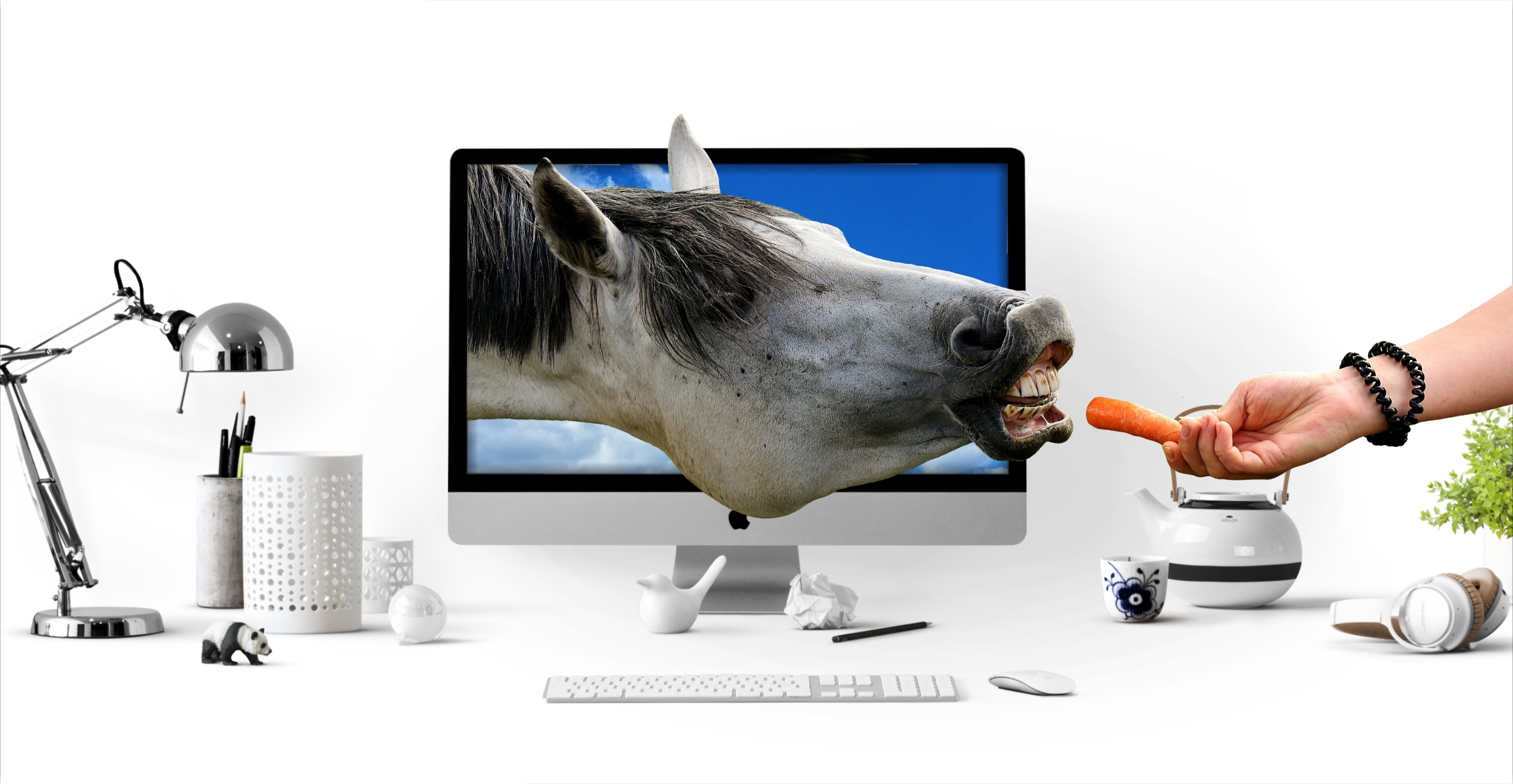 Computer Horse Manipulation 2732x1416