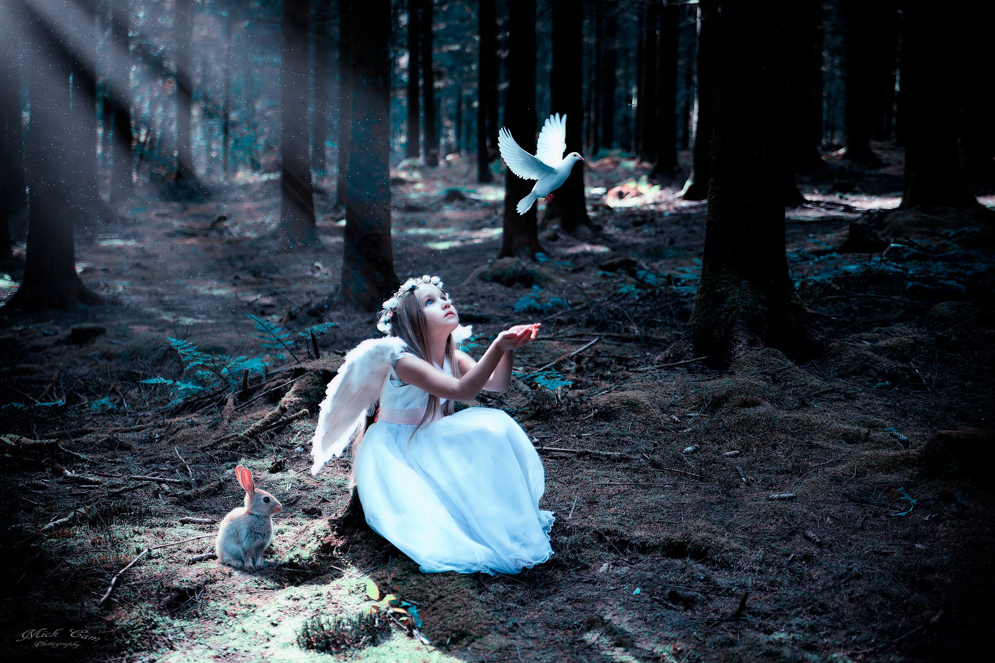Angel Bird Child Forest Girl Rabbit Sunbeam White Dress 2048x1365
