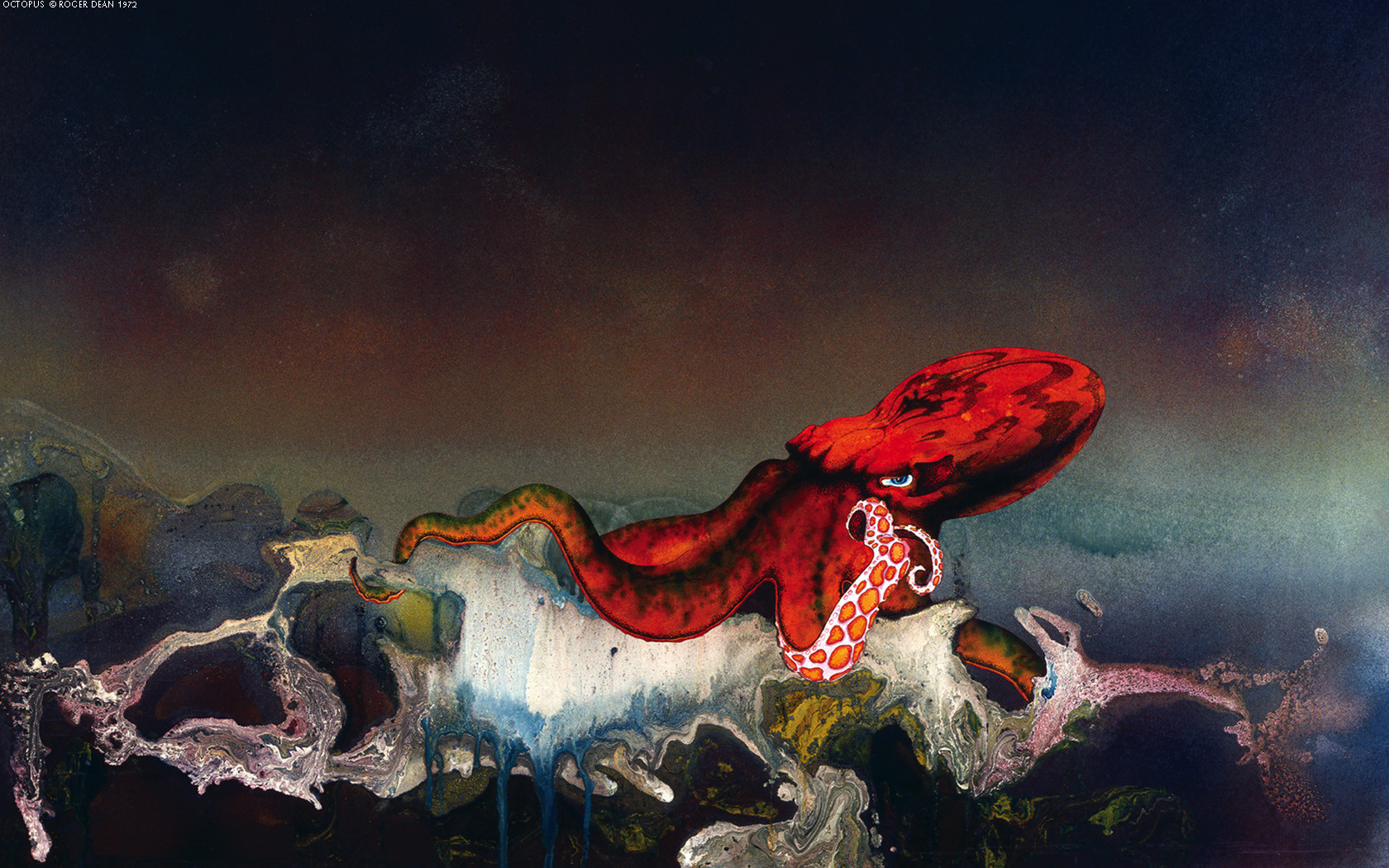 Octopus Artwork Album Covers Cover Art 1680x1050