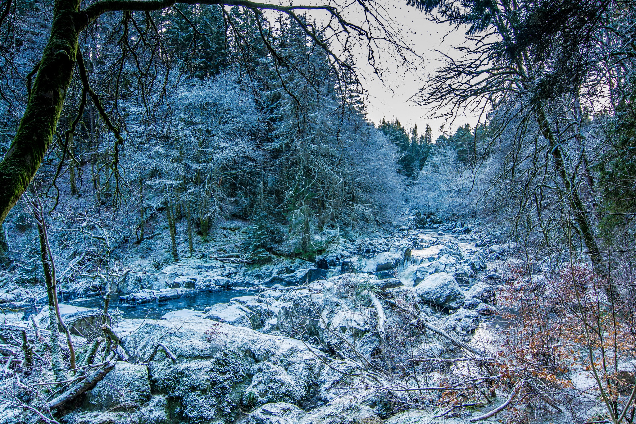 Forest Nature Stream Winter 2048x1365