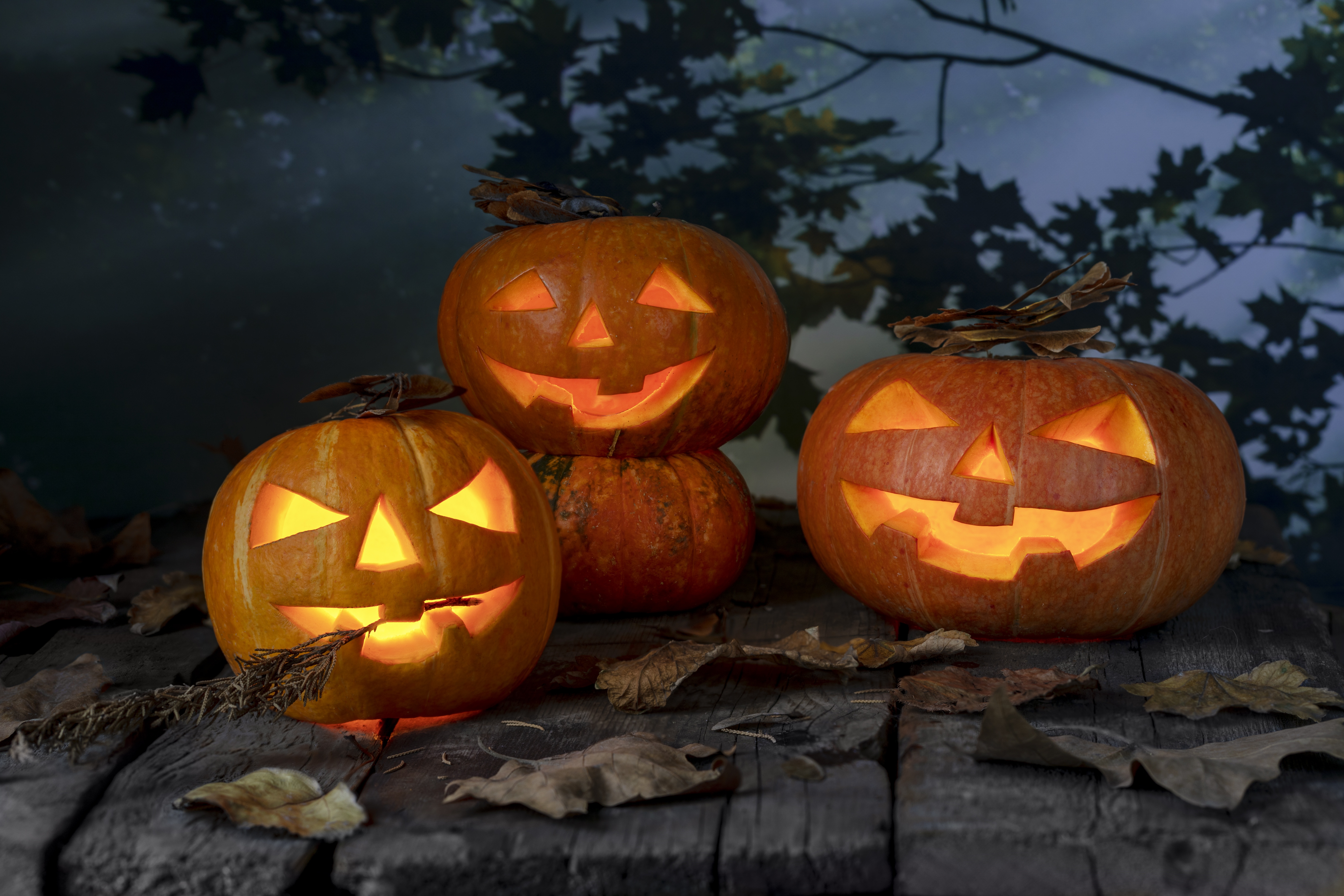 Fall Halloween Jack O 039 Lantern Leaf Pumpkin 6720x4480