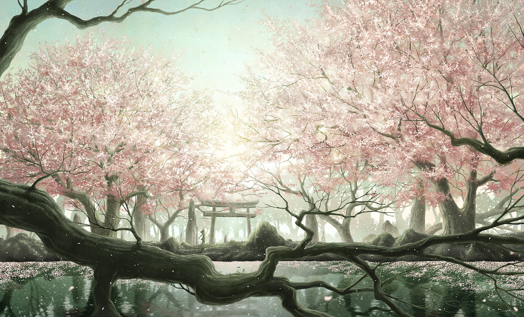 Cherry Blossom Forest Gate Lake Sky Sunshine Tree 1737x1053