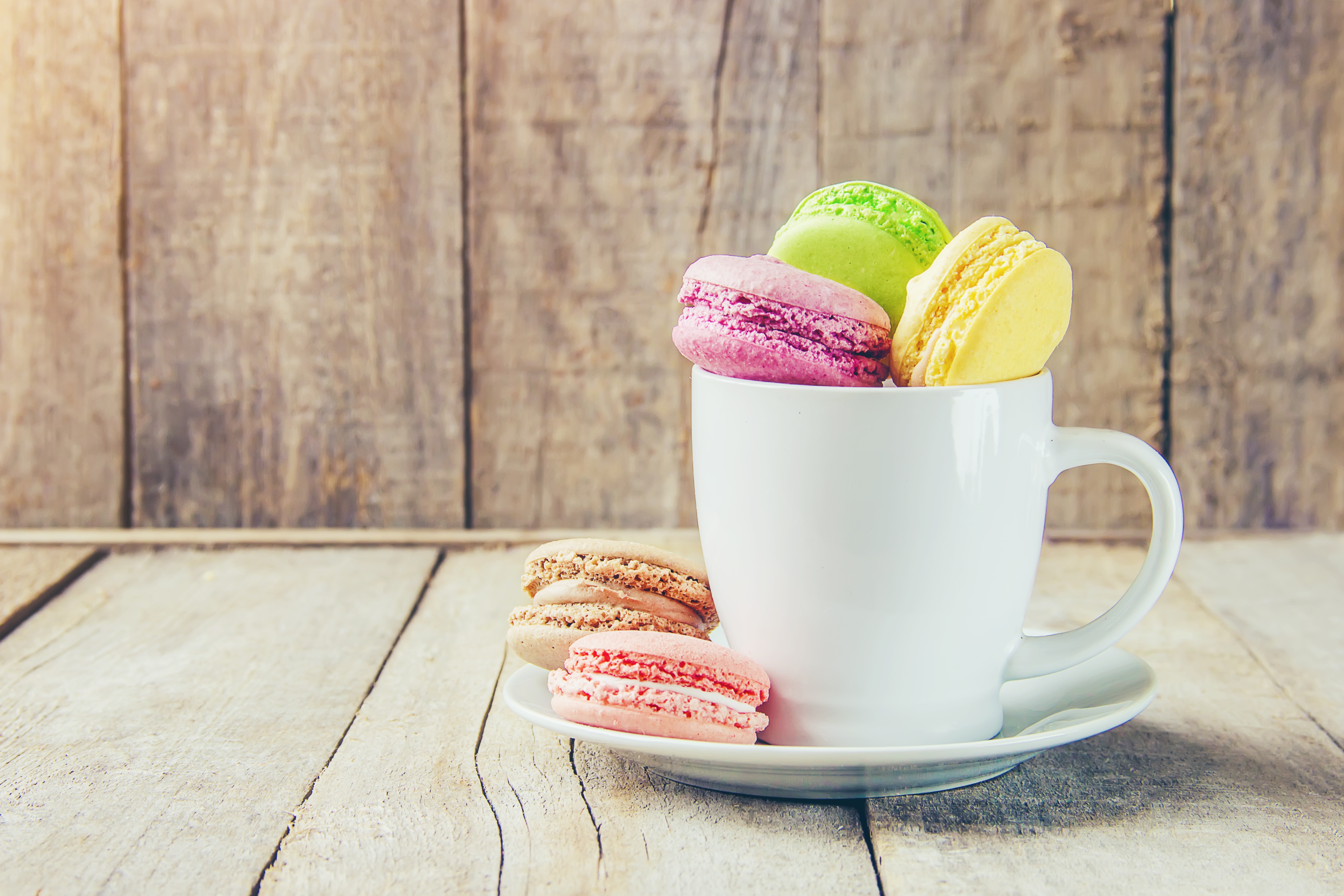 Cup Macaron Still Life Sweets 5094x3396