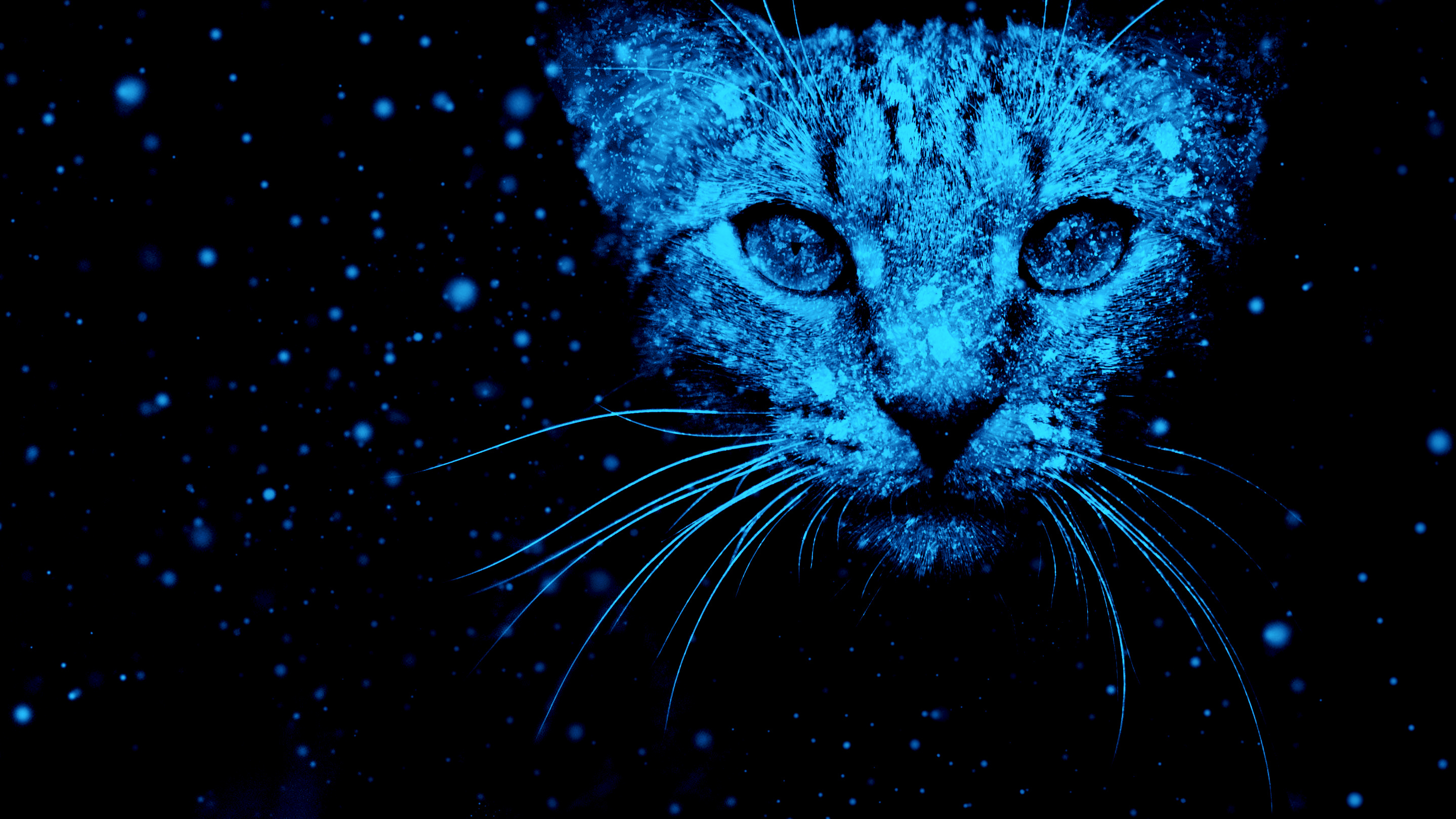 Artistic Blue Cat Pet 2878x1619