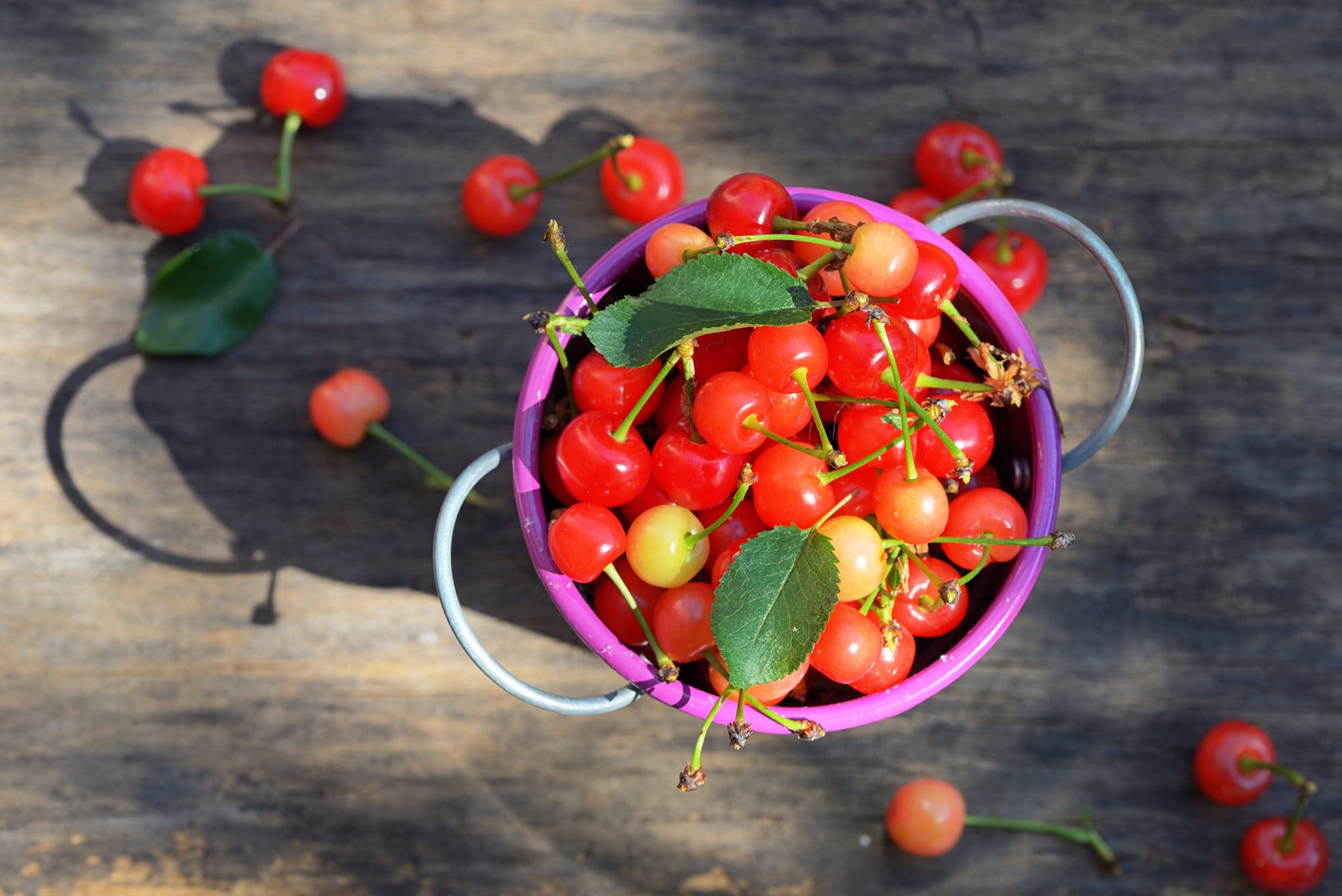 Cherry Fruit 2000x1335