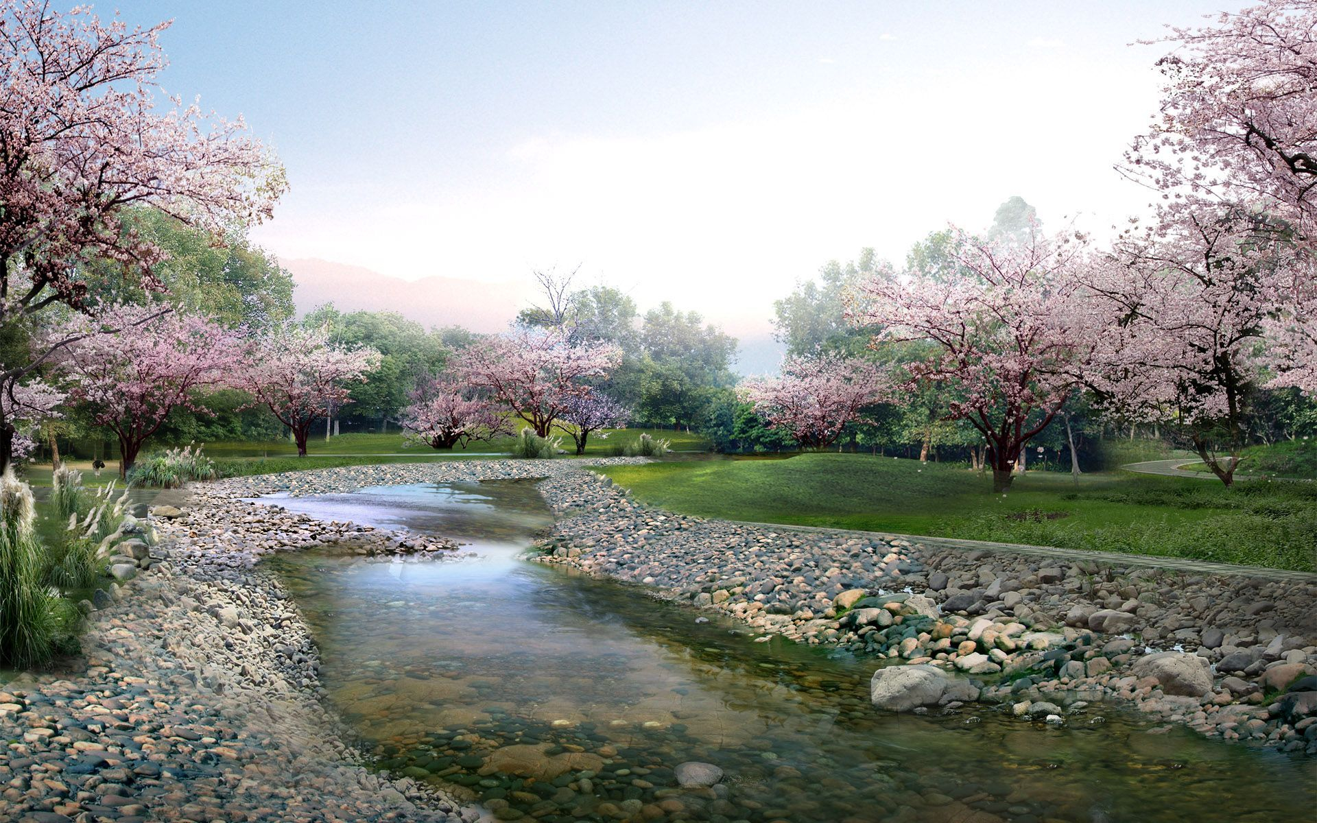 Blossom Nature Park River Rock Sakura Spring Stone Stream Tree 1920x1200