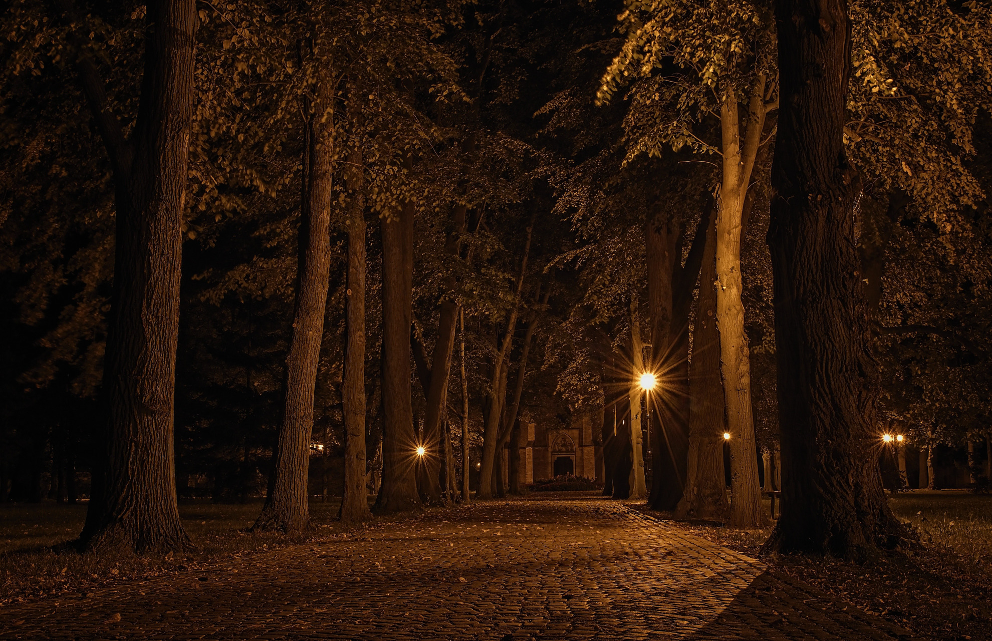 Cemetery Alley At Night Alleyway Street Night Street Light Forest Palm Trees Landscape 1980x1280