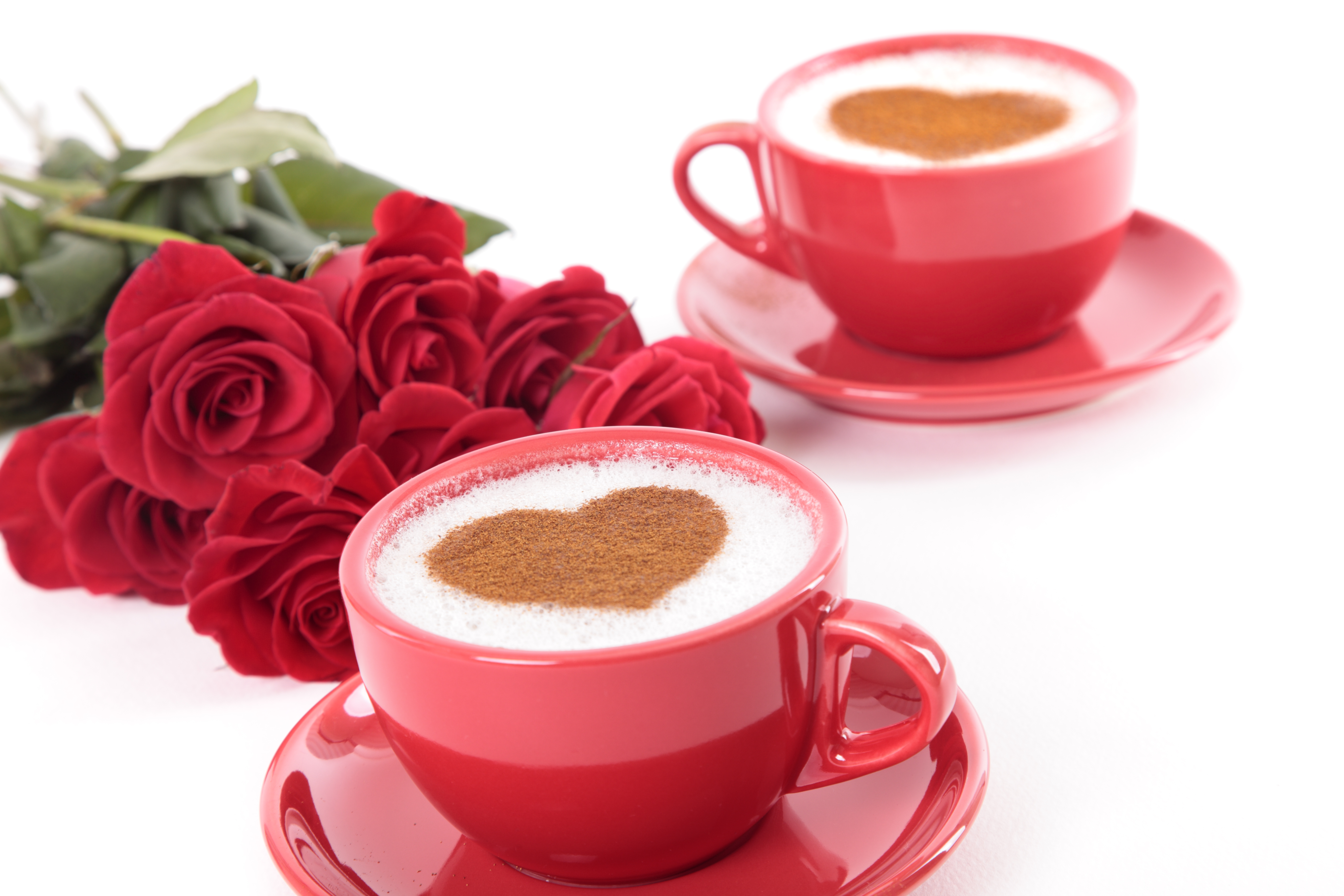 Coffee Cup Heart Shaped Red Flower Rose Still Life 5616x3744