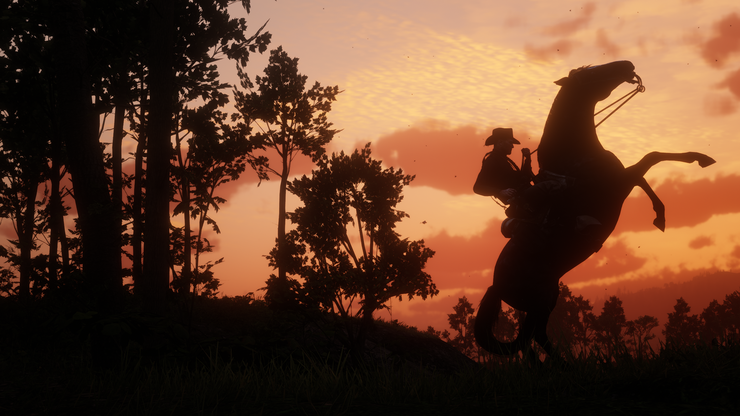 Red Dead Redemption 2 Red Dead Redemption Ii Video Games Sunset Forest 2560x1440