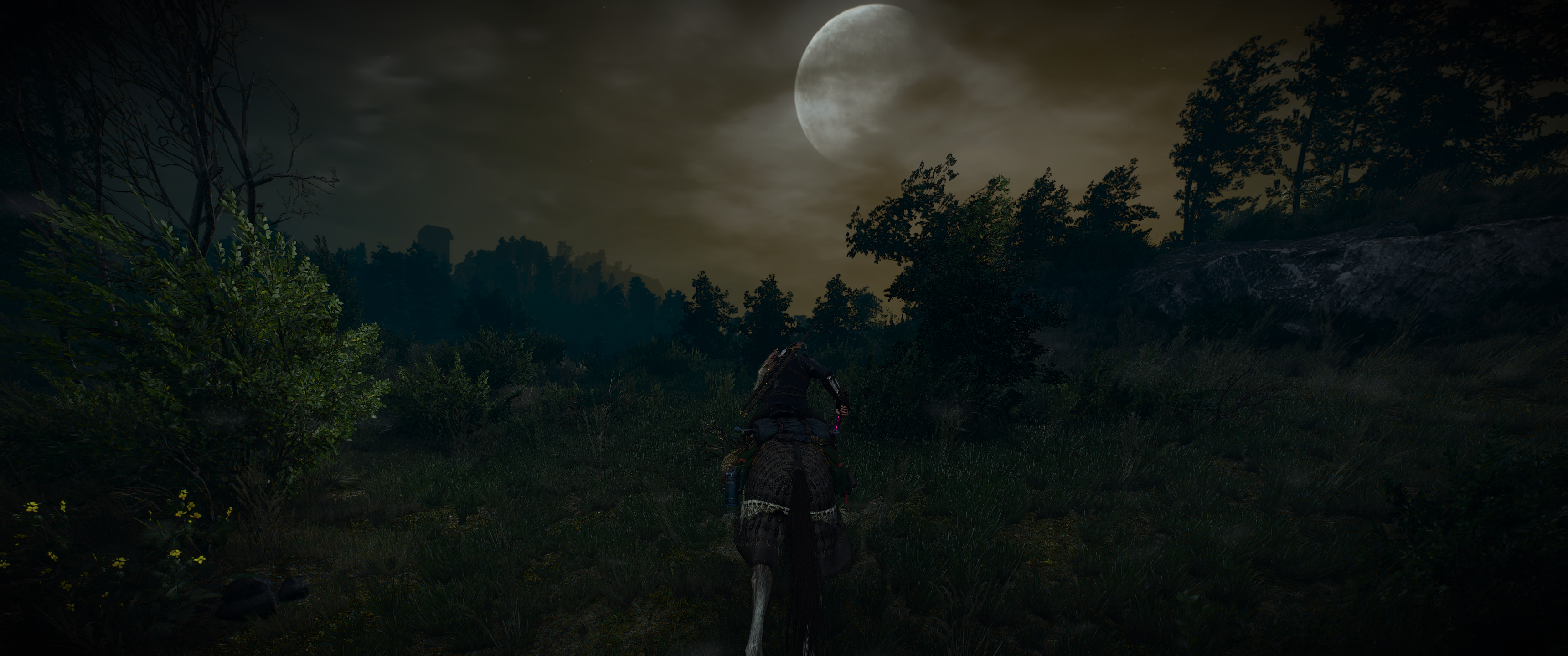 PC Gaming The Witcher The Witcher 3 Wild Hunt Landscape Cirilla Ciri Triss Merigold Geralt Of Rivia  3440x1440
