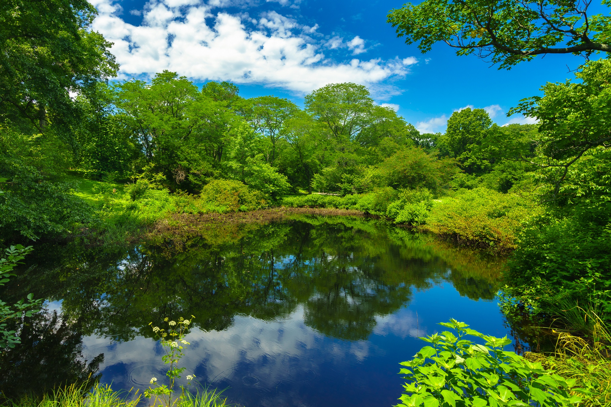 Boston Cloud Greenery Massachusetts Park Pond Reflection Tree 2048x1366