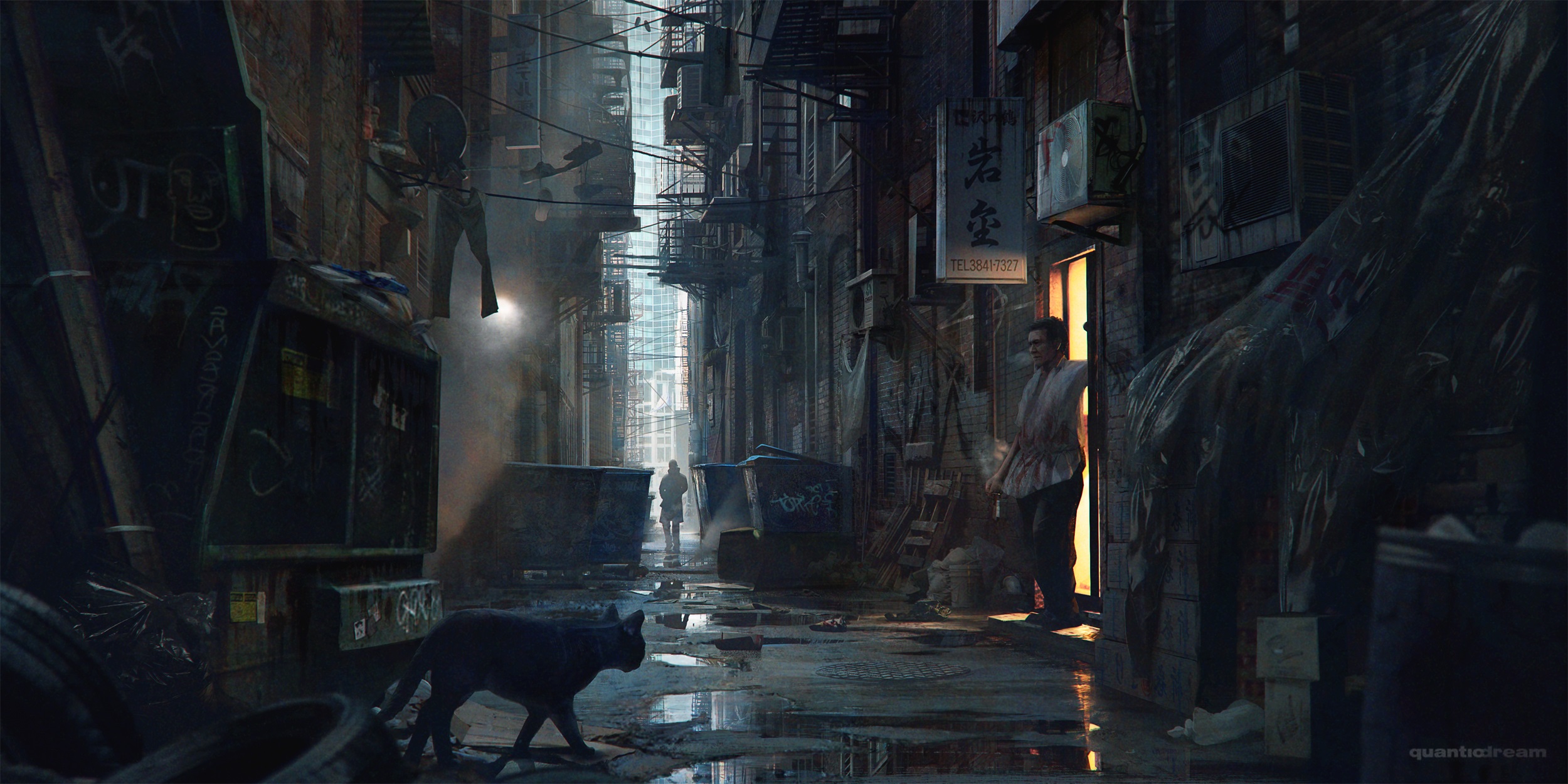 Alley Cat 2500x1250