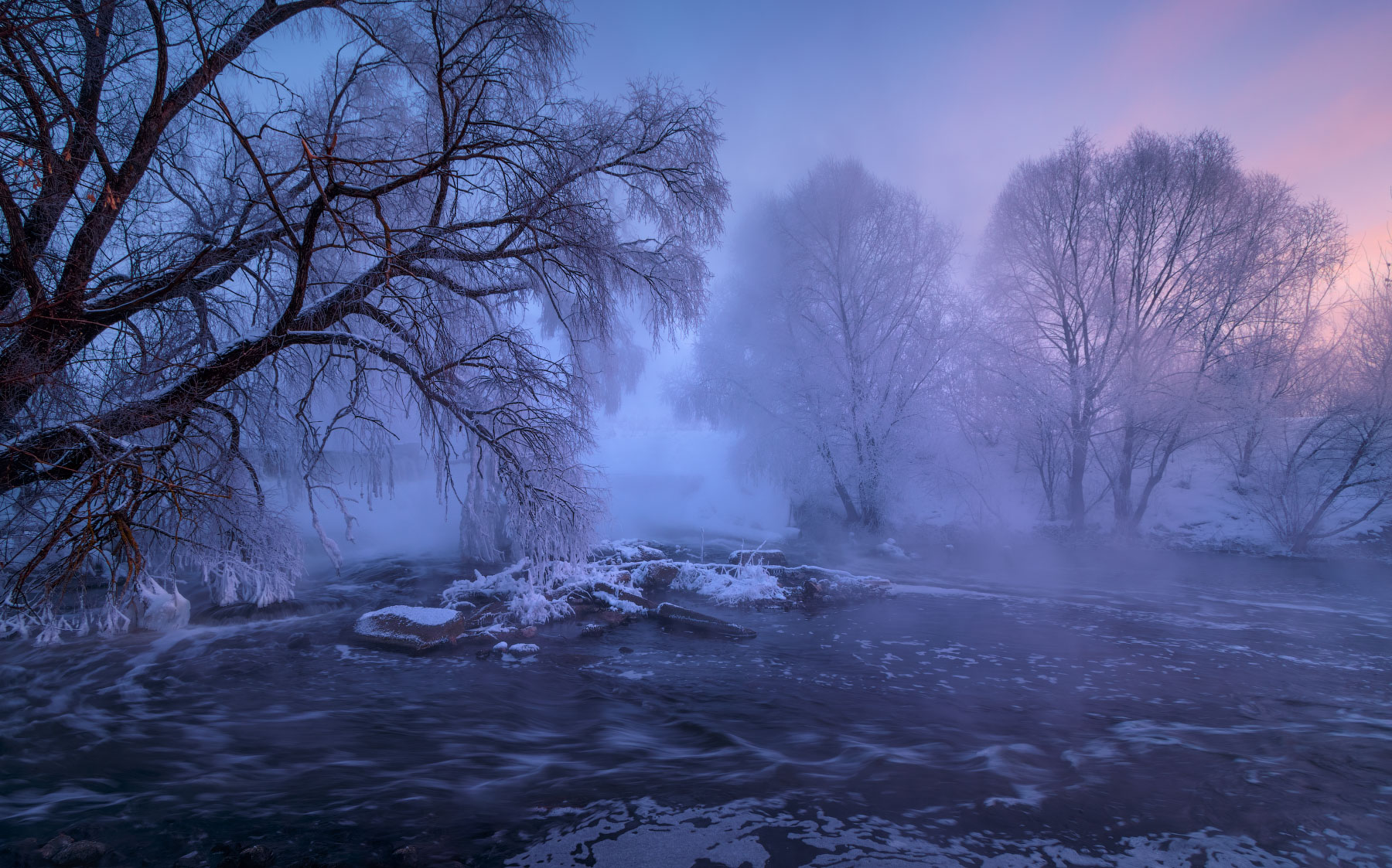 Mikhail Dubrovinskiy Landscape Trees Snow Ice Purple Sky Sky Nature Mist Water 1800x1123