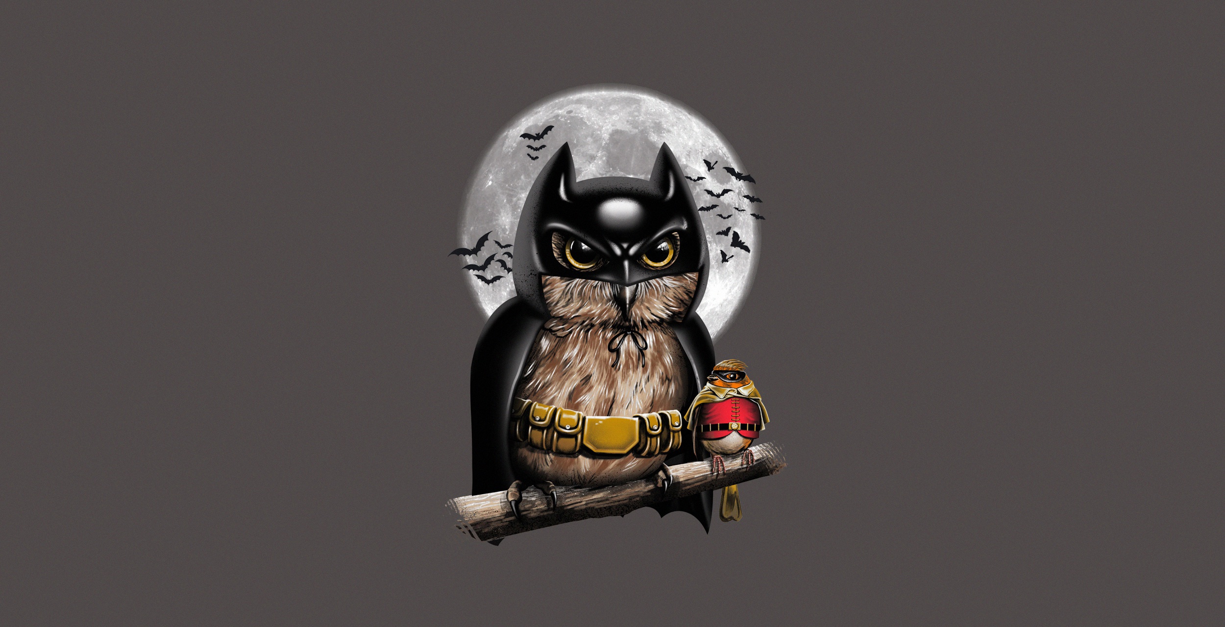 Batman Bird Moon Owl Robin Dc Comics 2500x1280