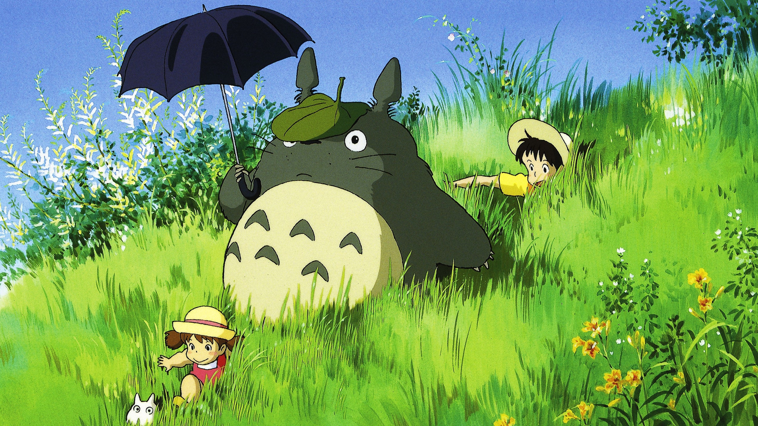 Totoro My Neighbor Totoro 2560x1440