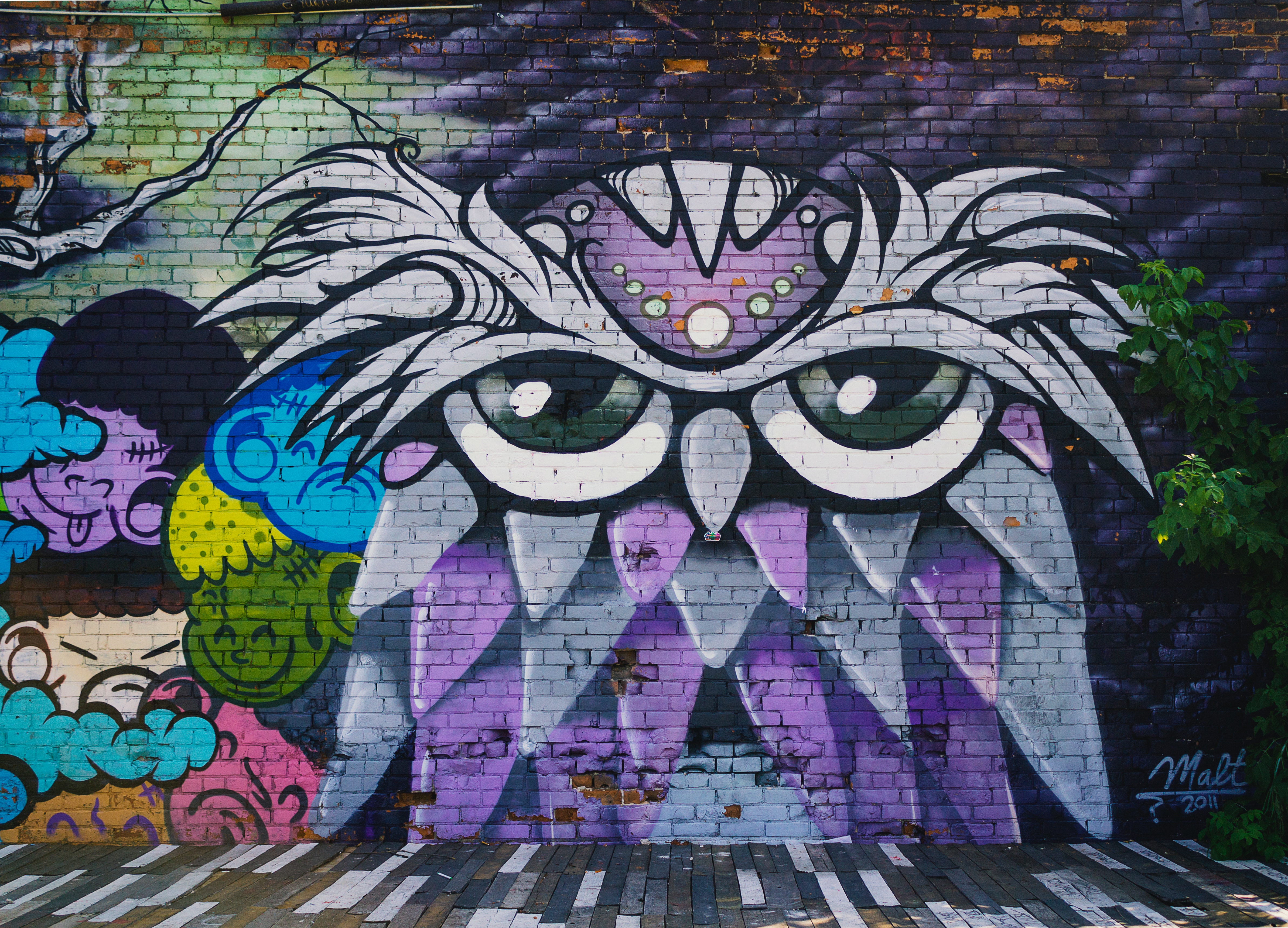 Graffiti Owl 4775x3442