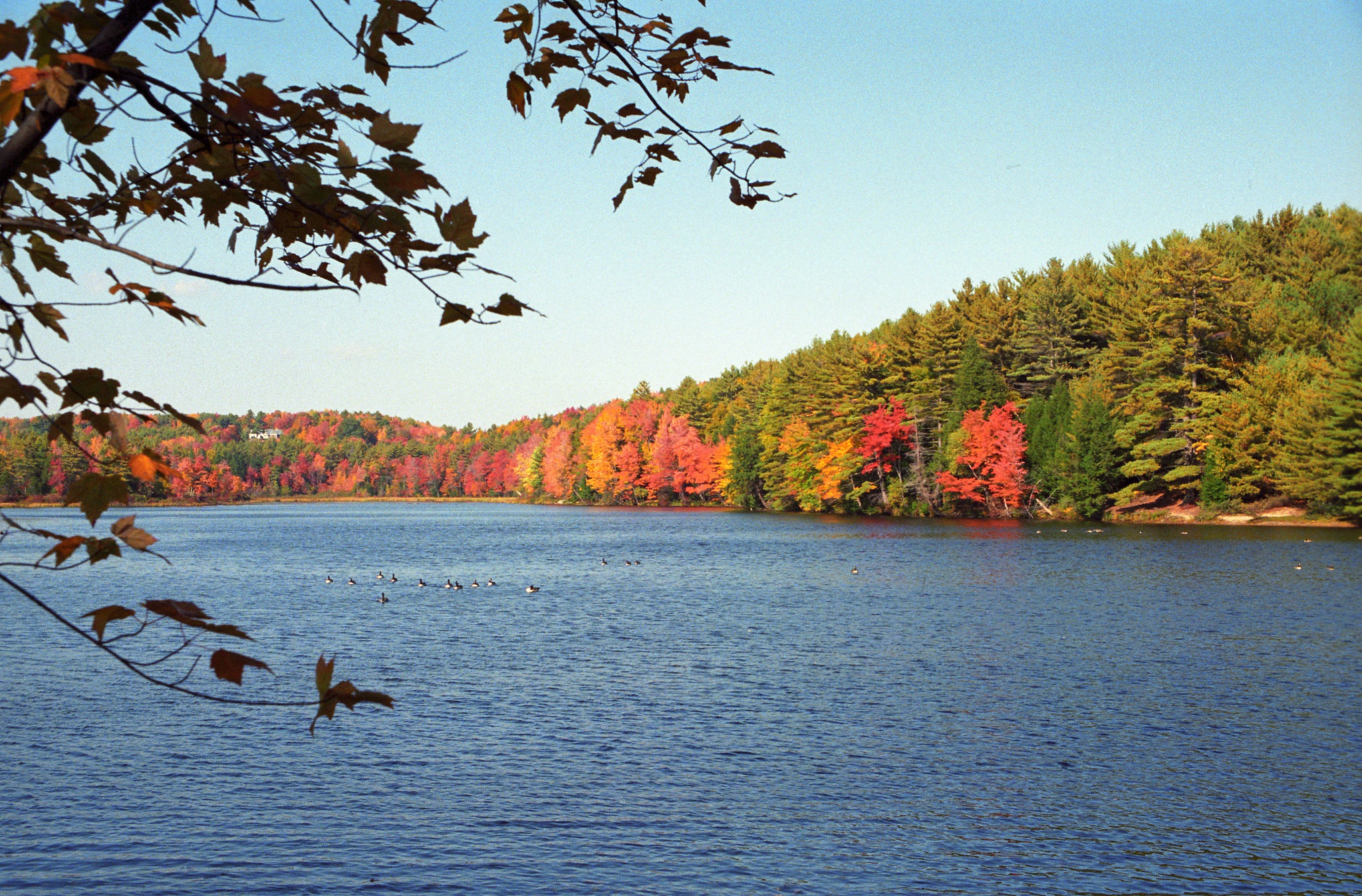 Fall Lake Massachusetts 2048x1348