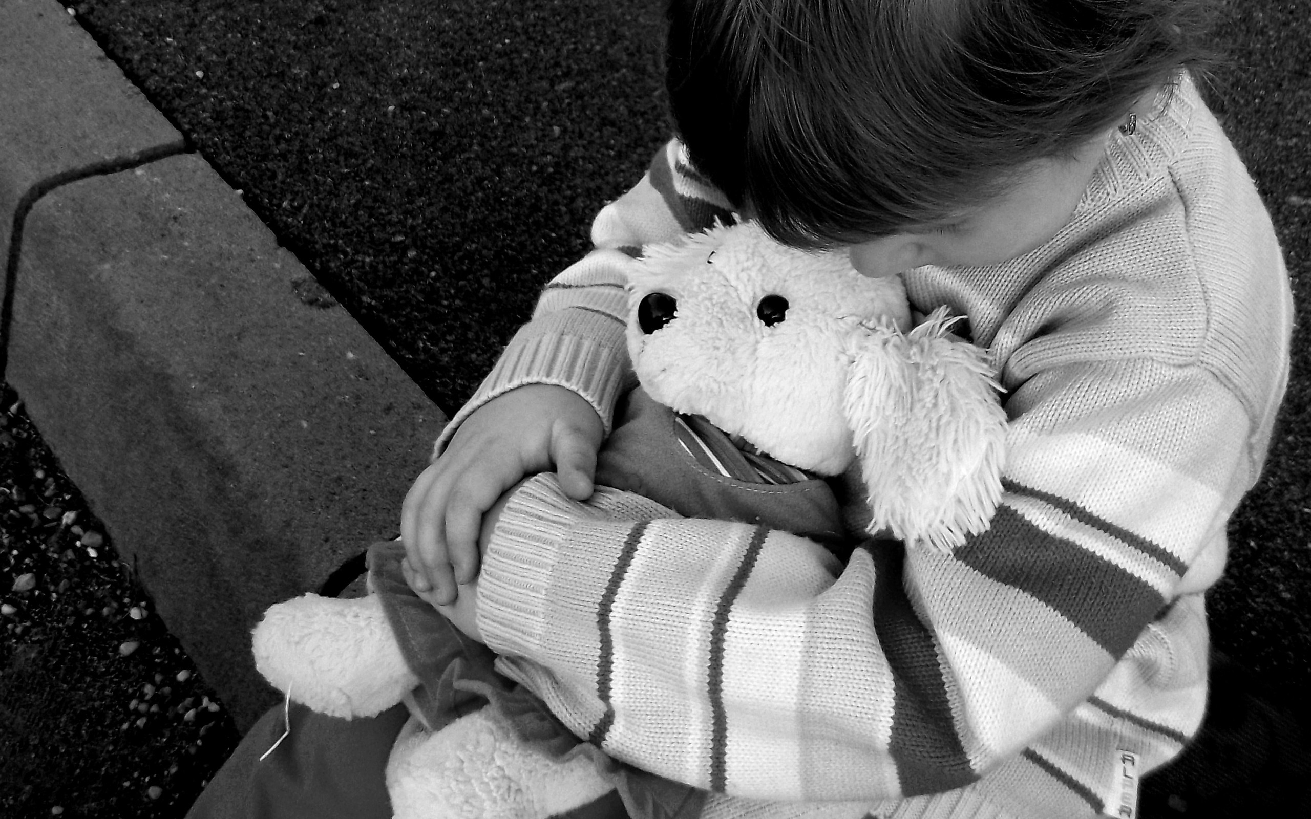 Bear Black Amp White Child Cute Teddy Bear Toy 2560x1600
