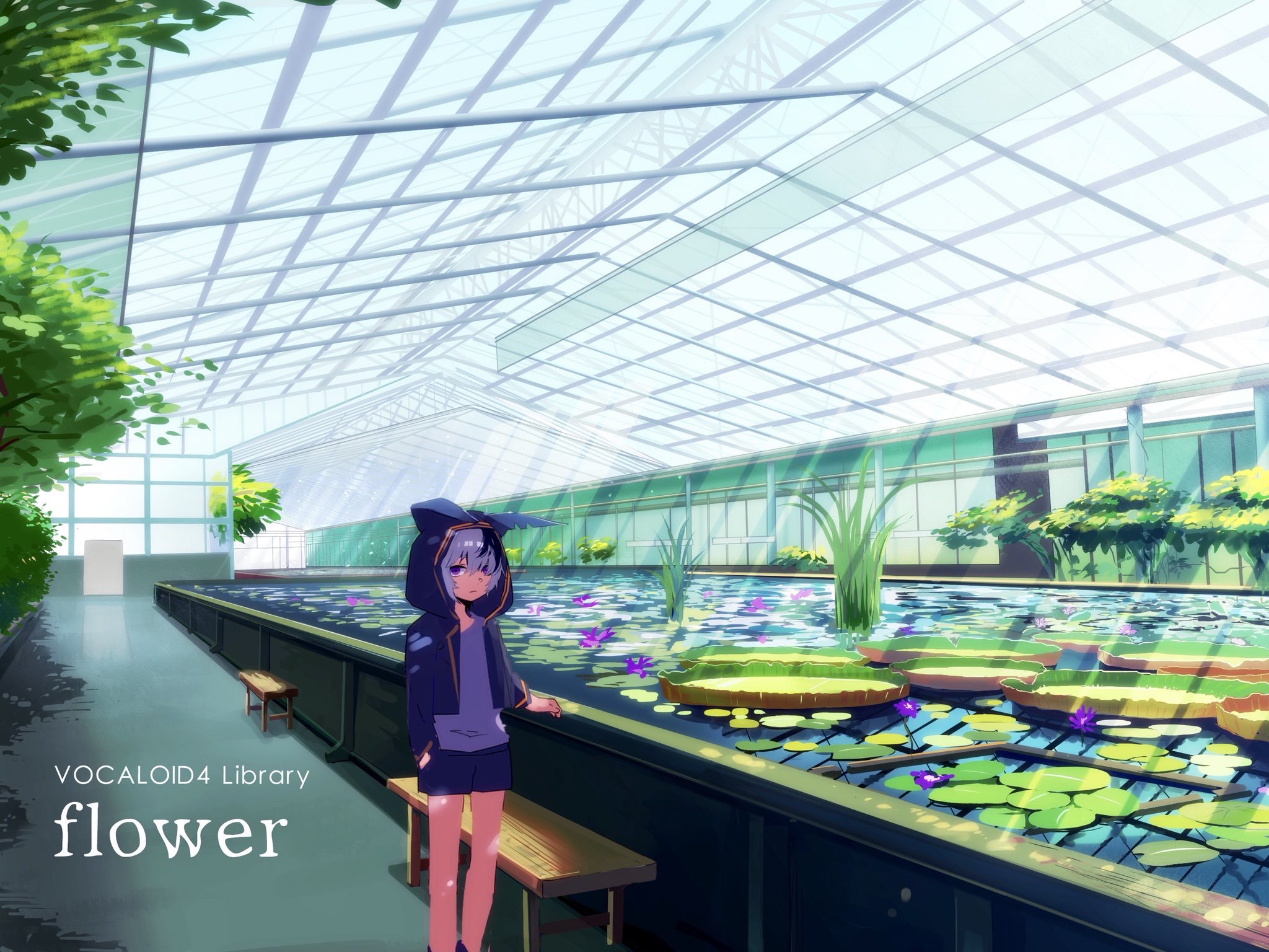 Greenhouse Lily Pad V Flower Vocaloid 2048x1536