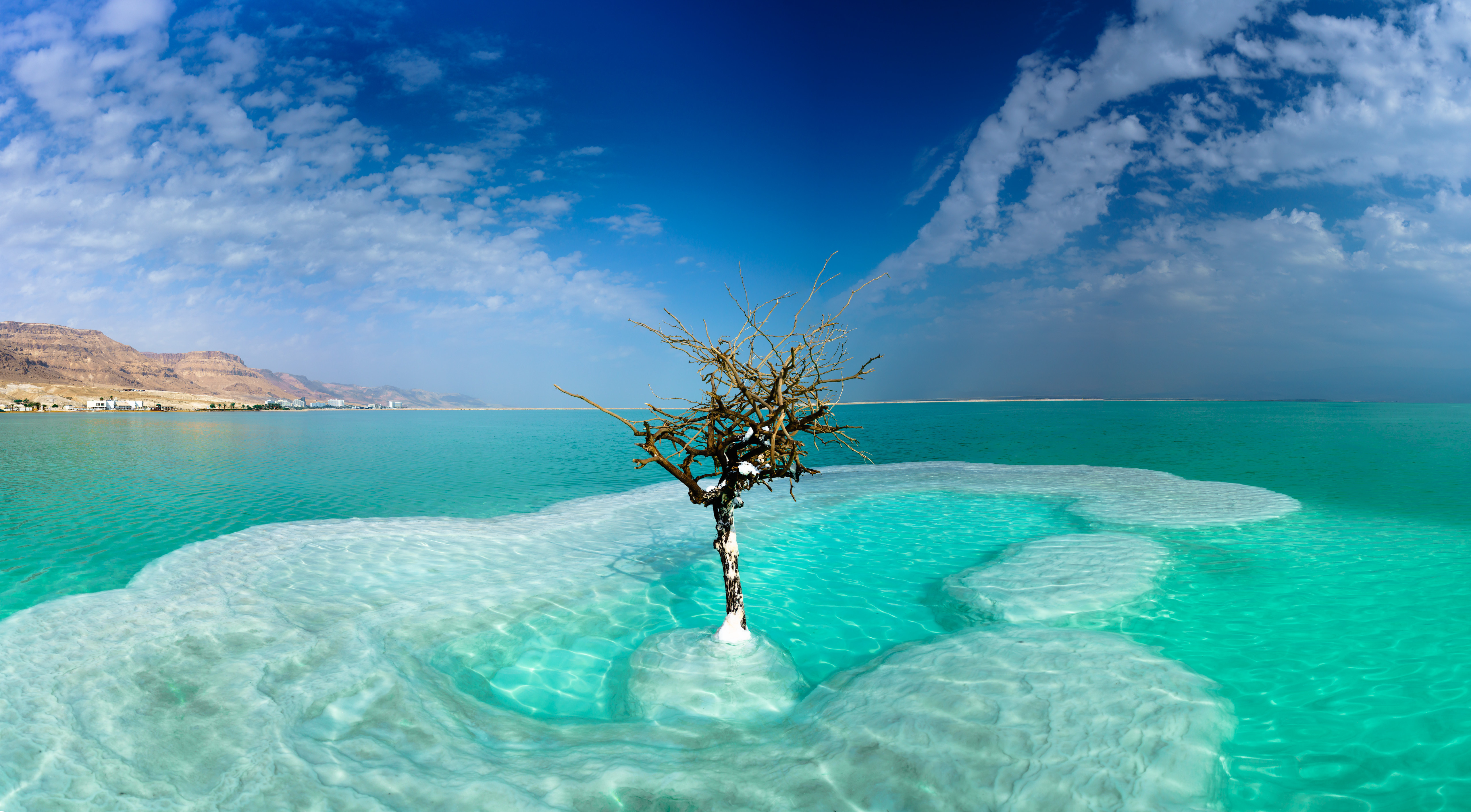 Dead Sea Israel Sea Sky Tree Turquoise 5120x2827