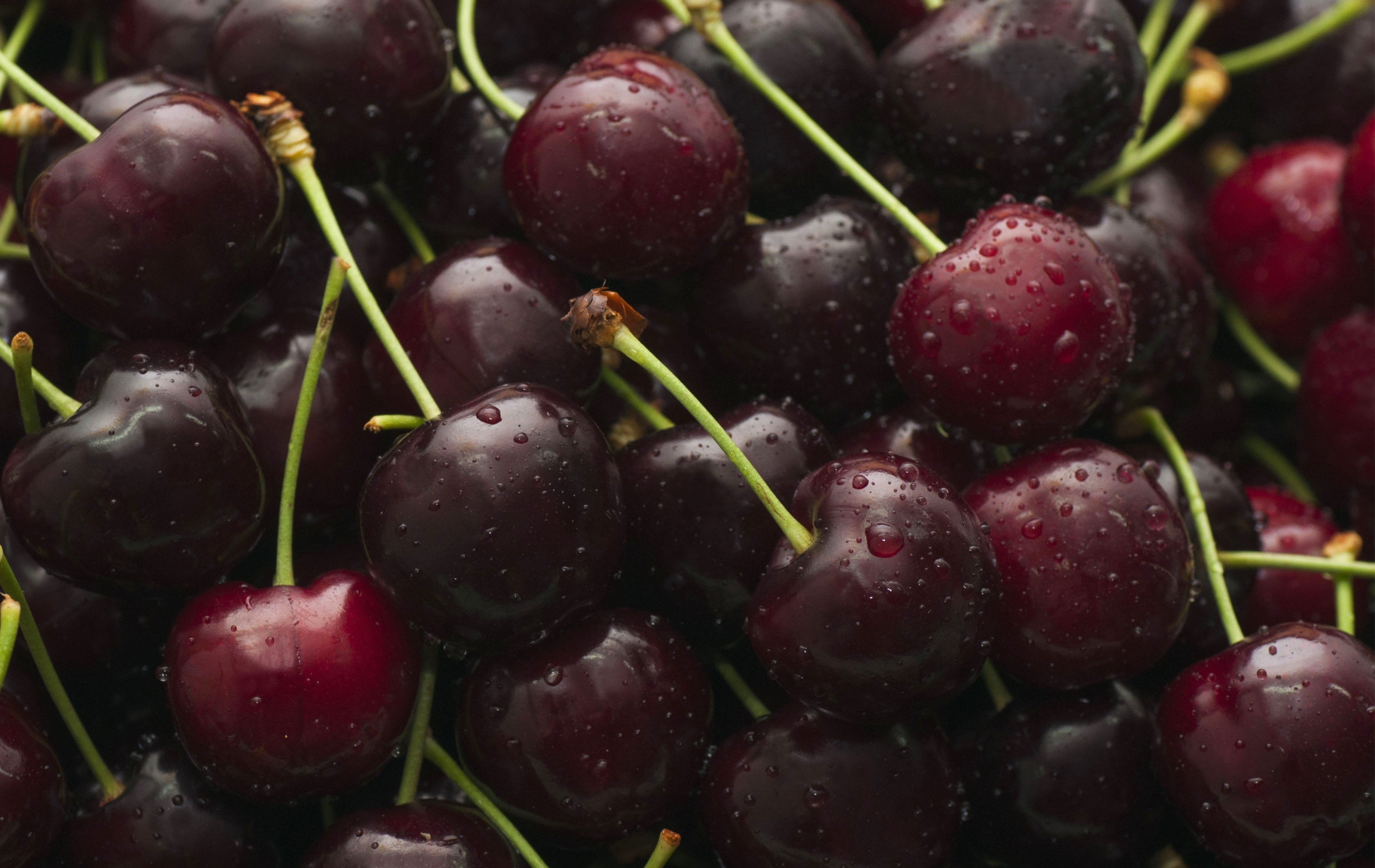 Cherry Fruit 3300x2085