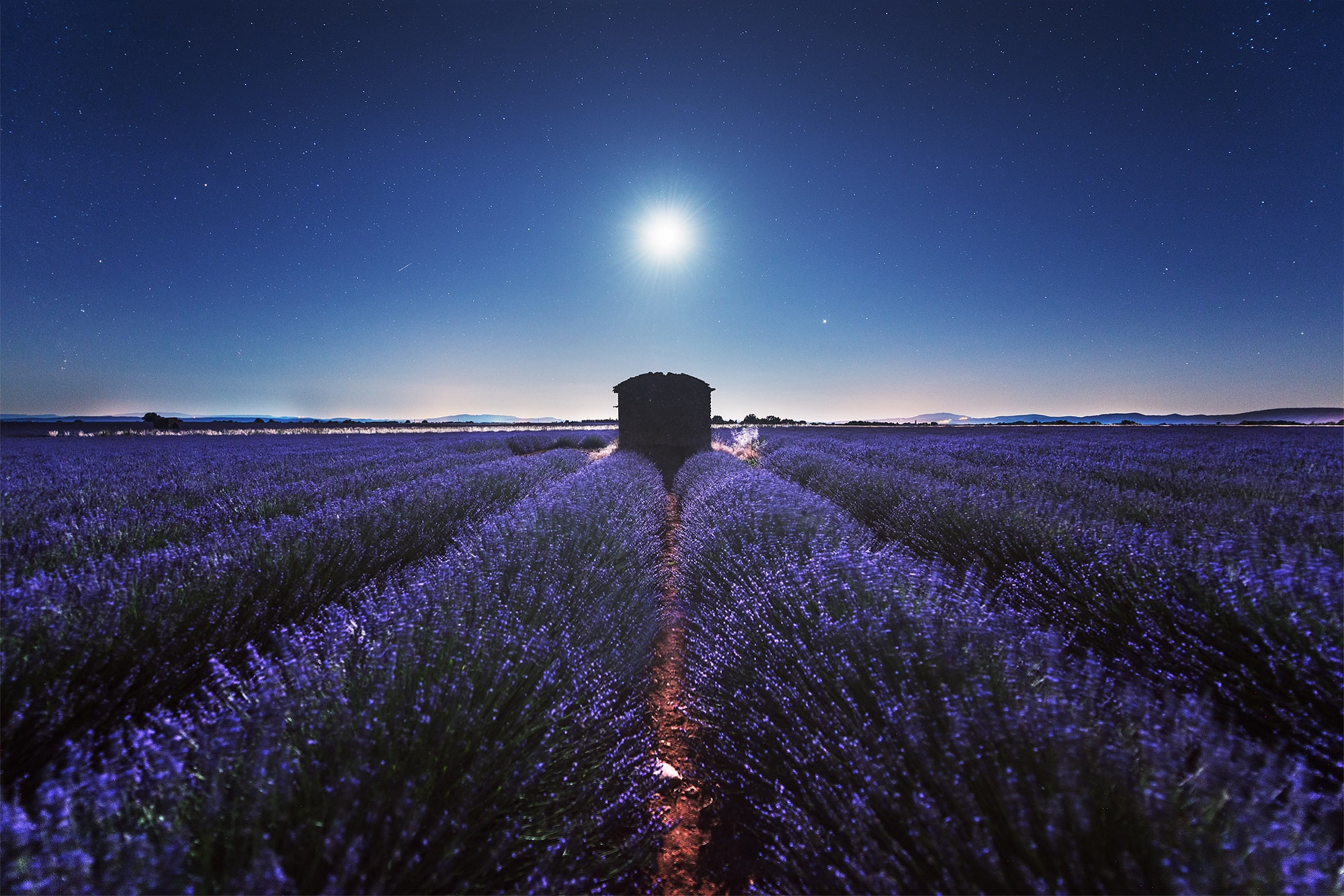 Field Lavender Night Plantation Stars 2000x1334
