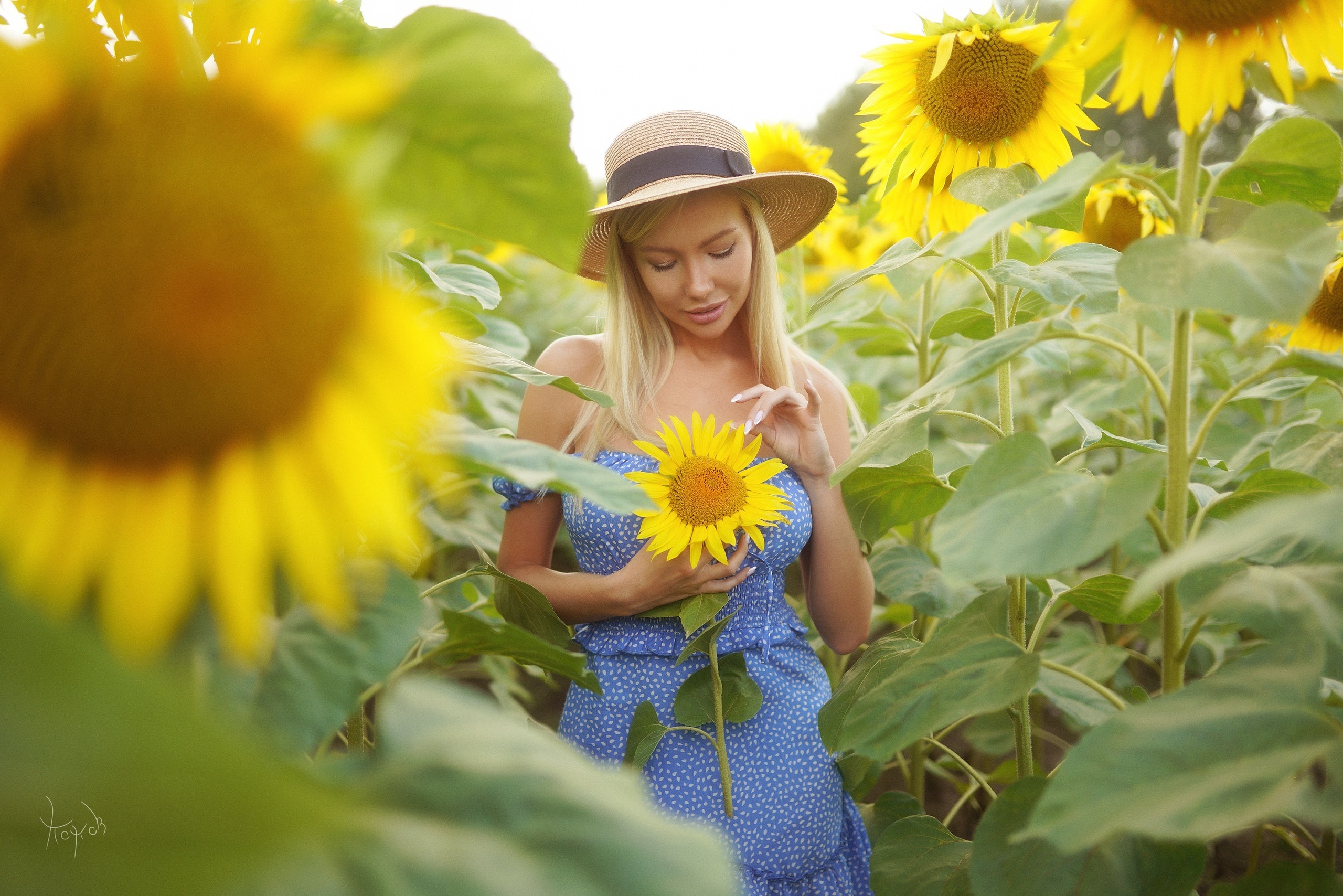 Blonde Girl Hat Model Mood Sunflower Woman Yellow Flower 2560x1708