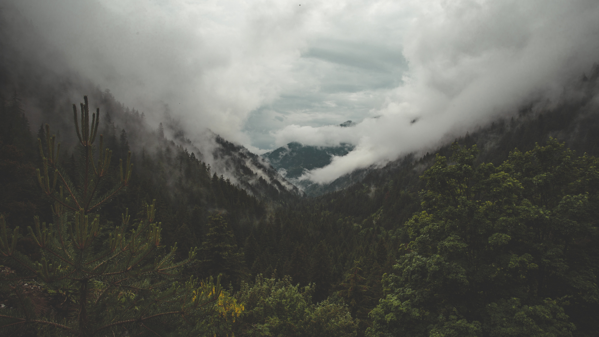 Nature Landscape Mountains Clouds Mist Trees Forest Monsoon France 1920x1080