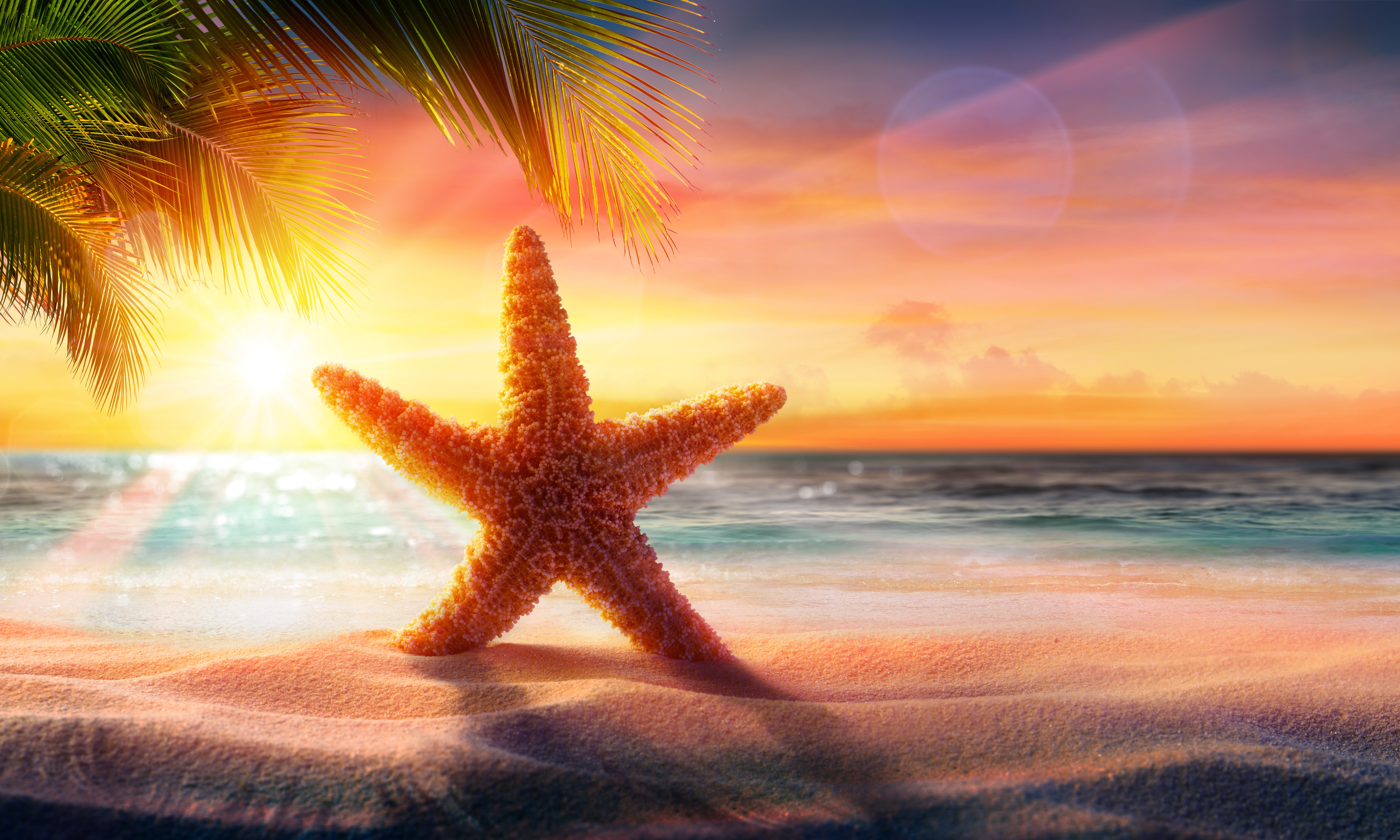 Beach Sand Starfish Sunrise 9250x5550