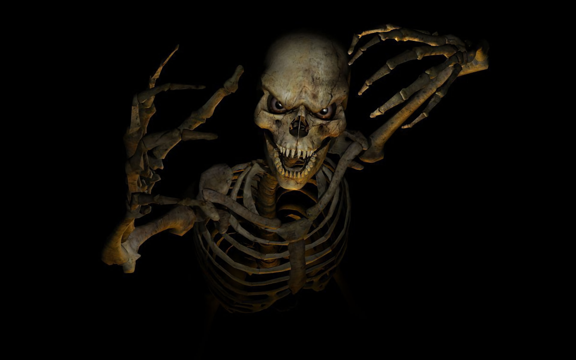 Dark Scary Skeleton 1920x1200