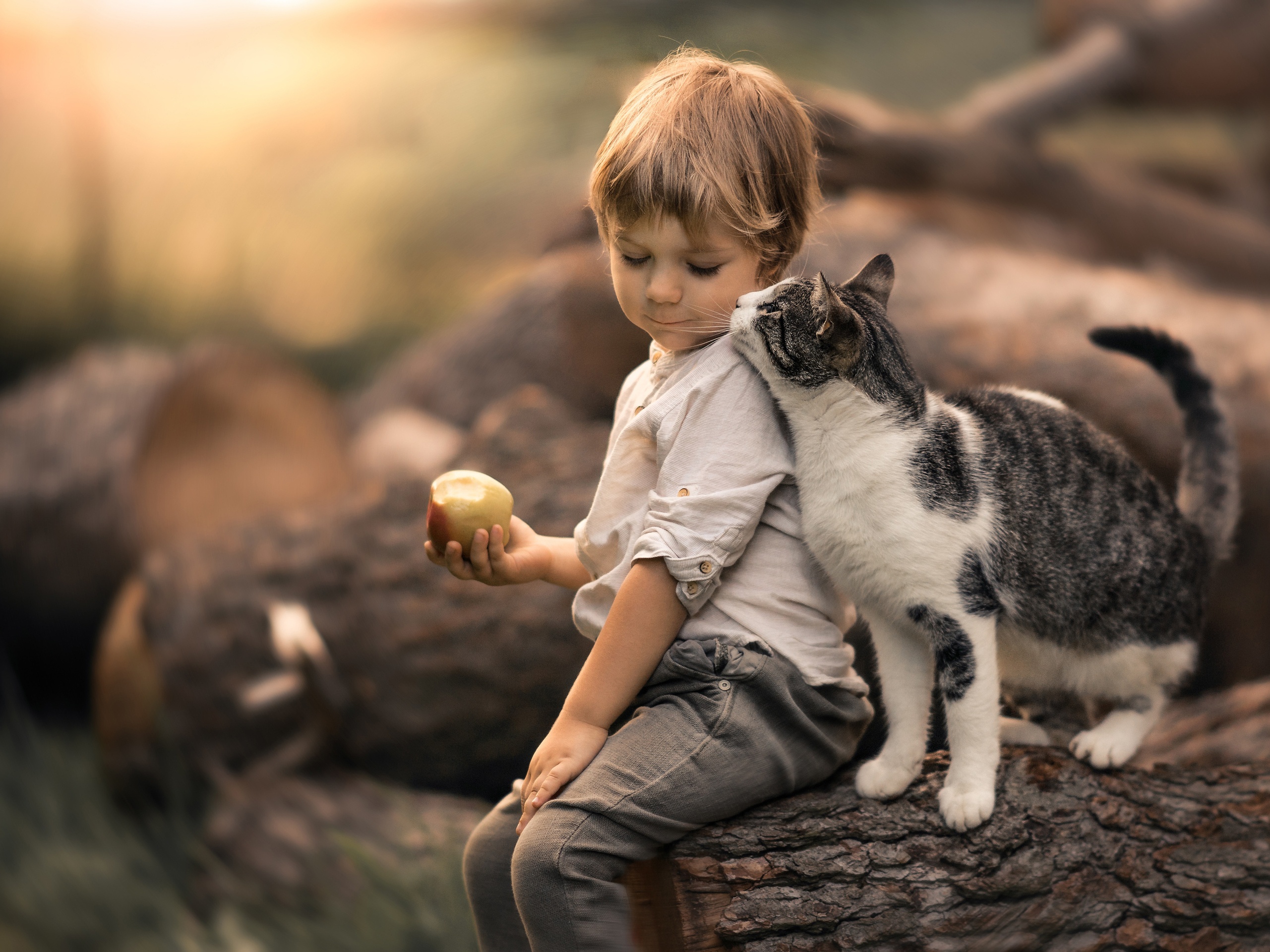 Apple Boy Cat Child Depth Of Field Little Boy Pet 2561x1920