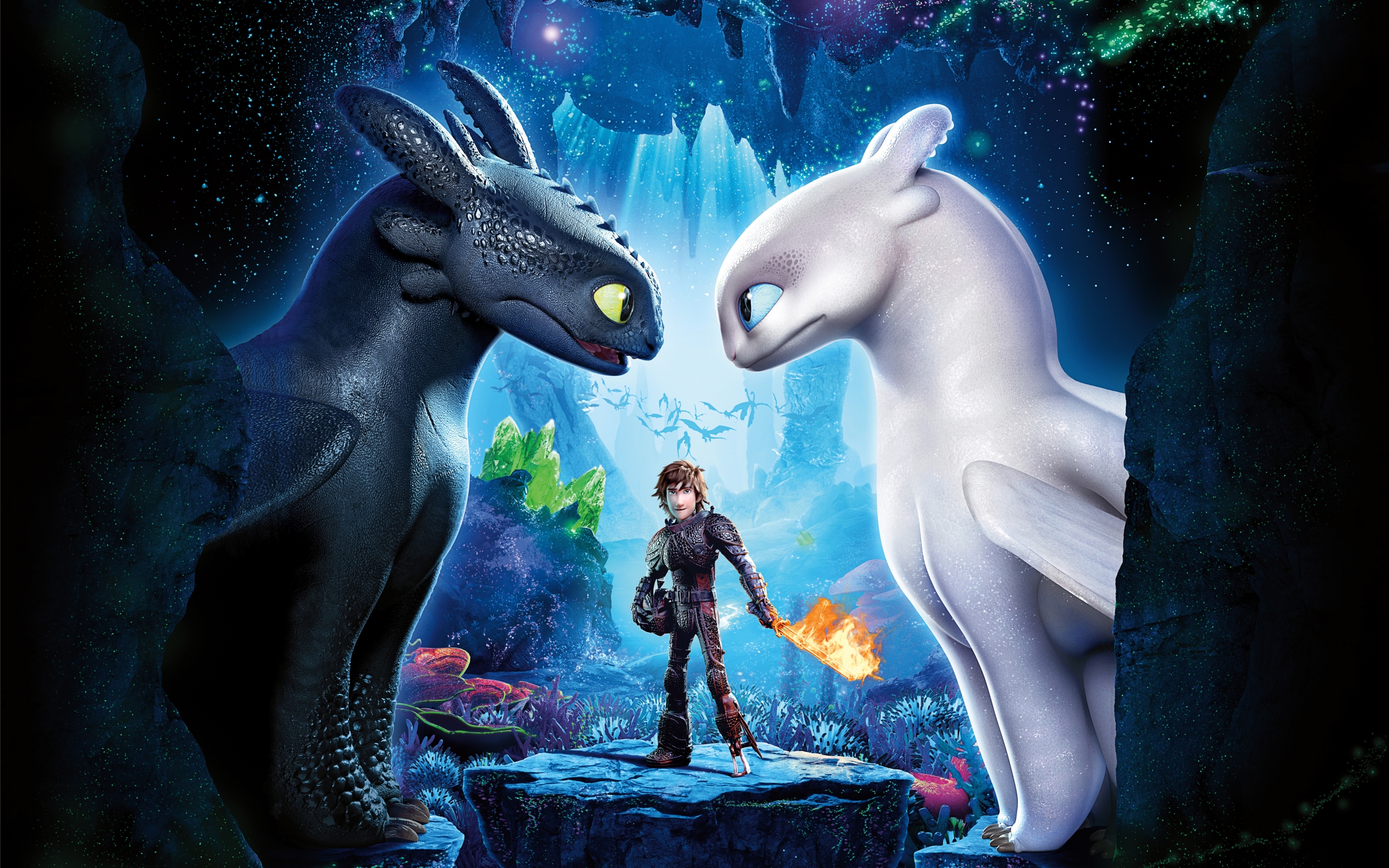 Cartoon How To Train Your Dragon 3 Movies Animated Movies 2560x1600