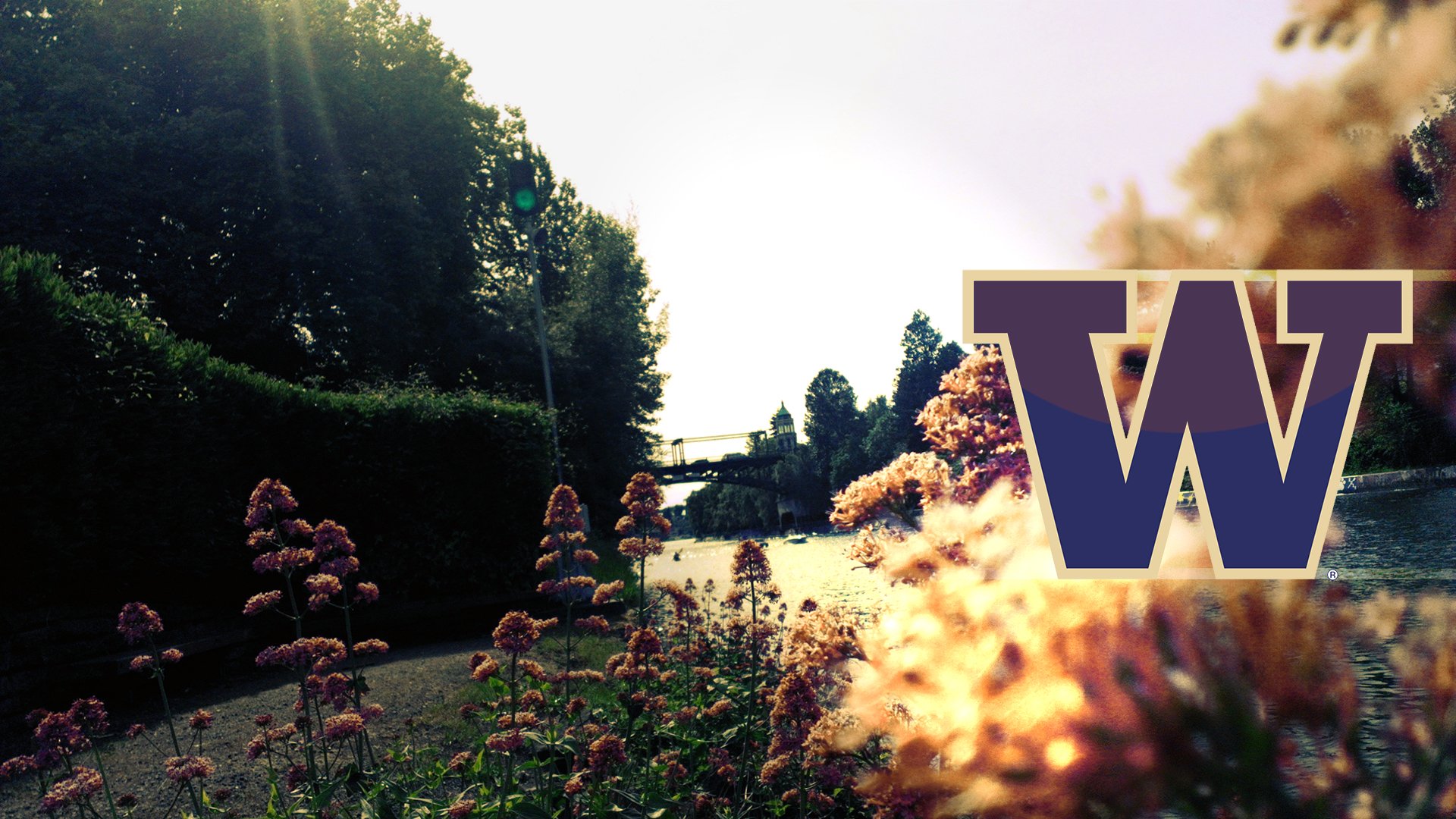 College Football Football Washington Huskies 1920x1080