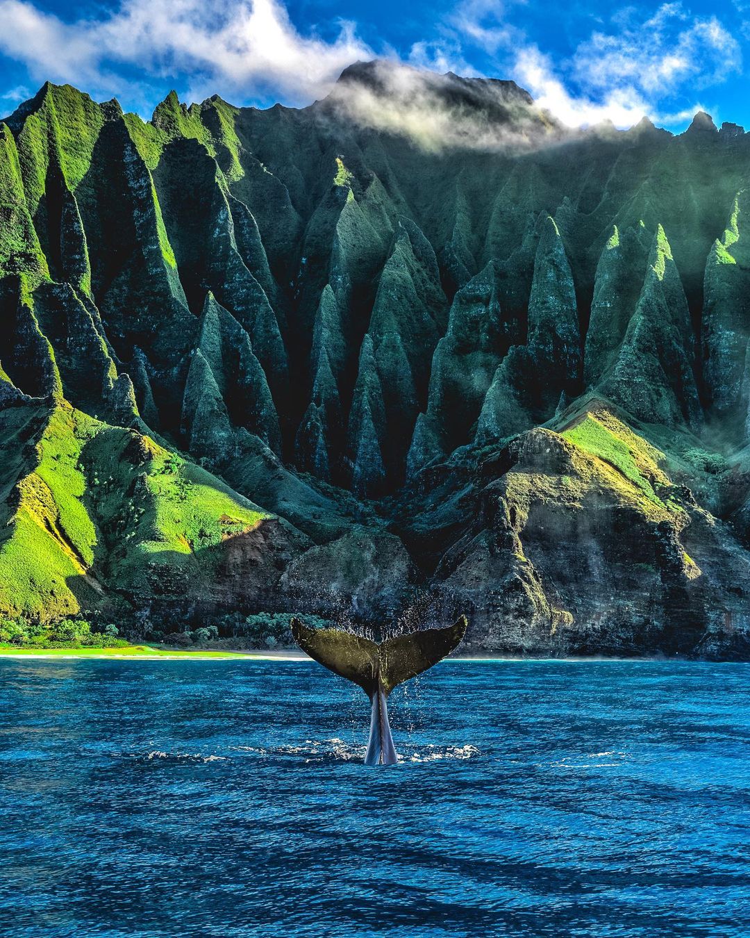Nature Landscape Mountains Hawaii National Park Whale Animals Portrait Display Water Sea Tail 1080x1350