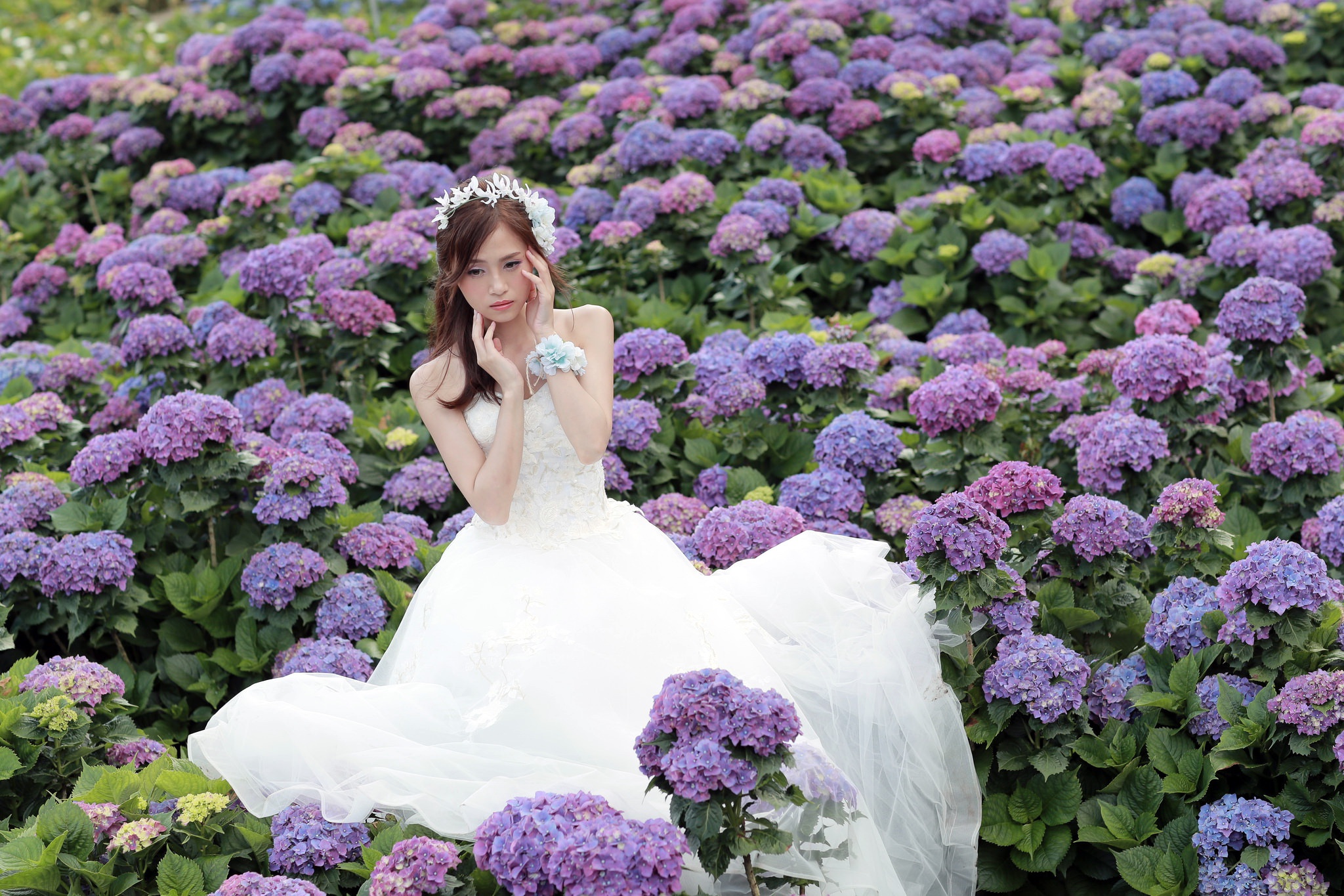 Asian Bride Brunette Flower Girl Hydrangea Model Purple Flower Wedding Dress White Dress Woman 2048x1365