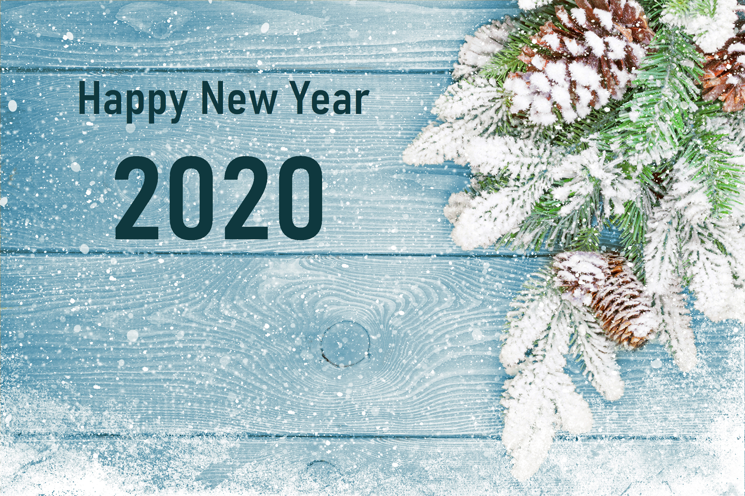 Happy New Year New Year 2020 2560x1706