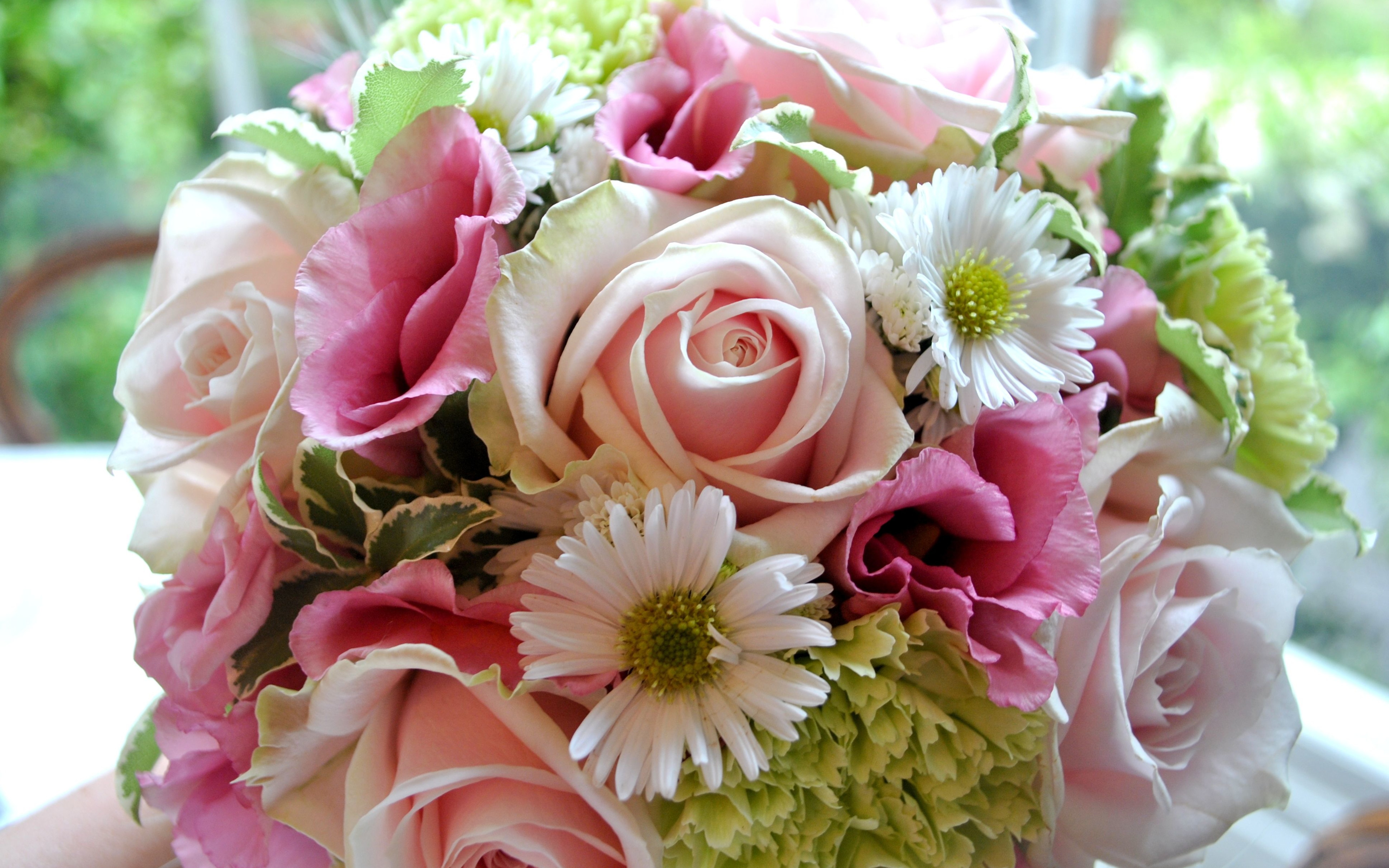 Bouquet Daisy Flower Rose 5120x3200