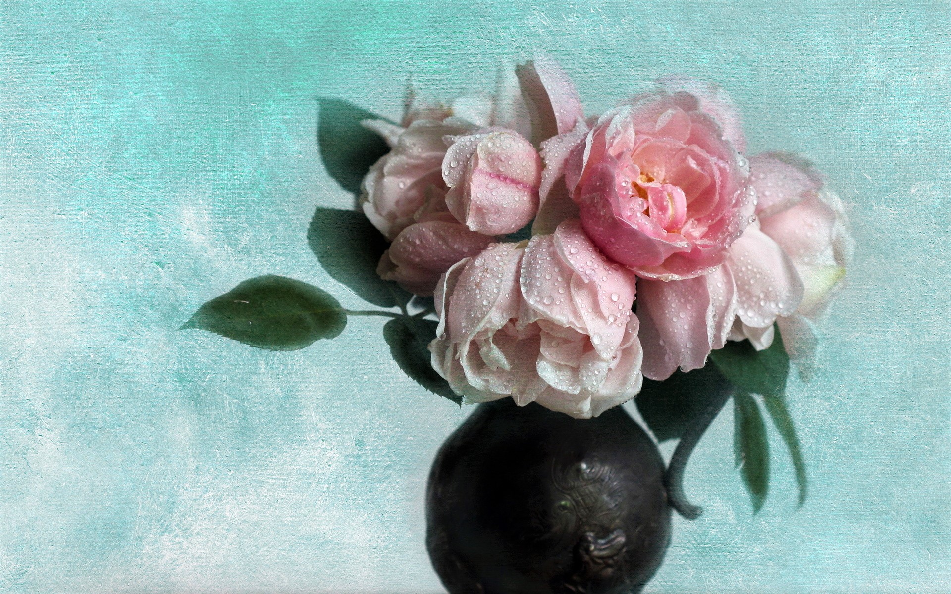Flower Peony Pink Flower Rose Still Life Vase 1920x1200