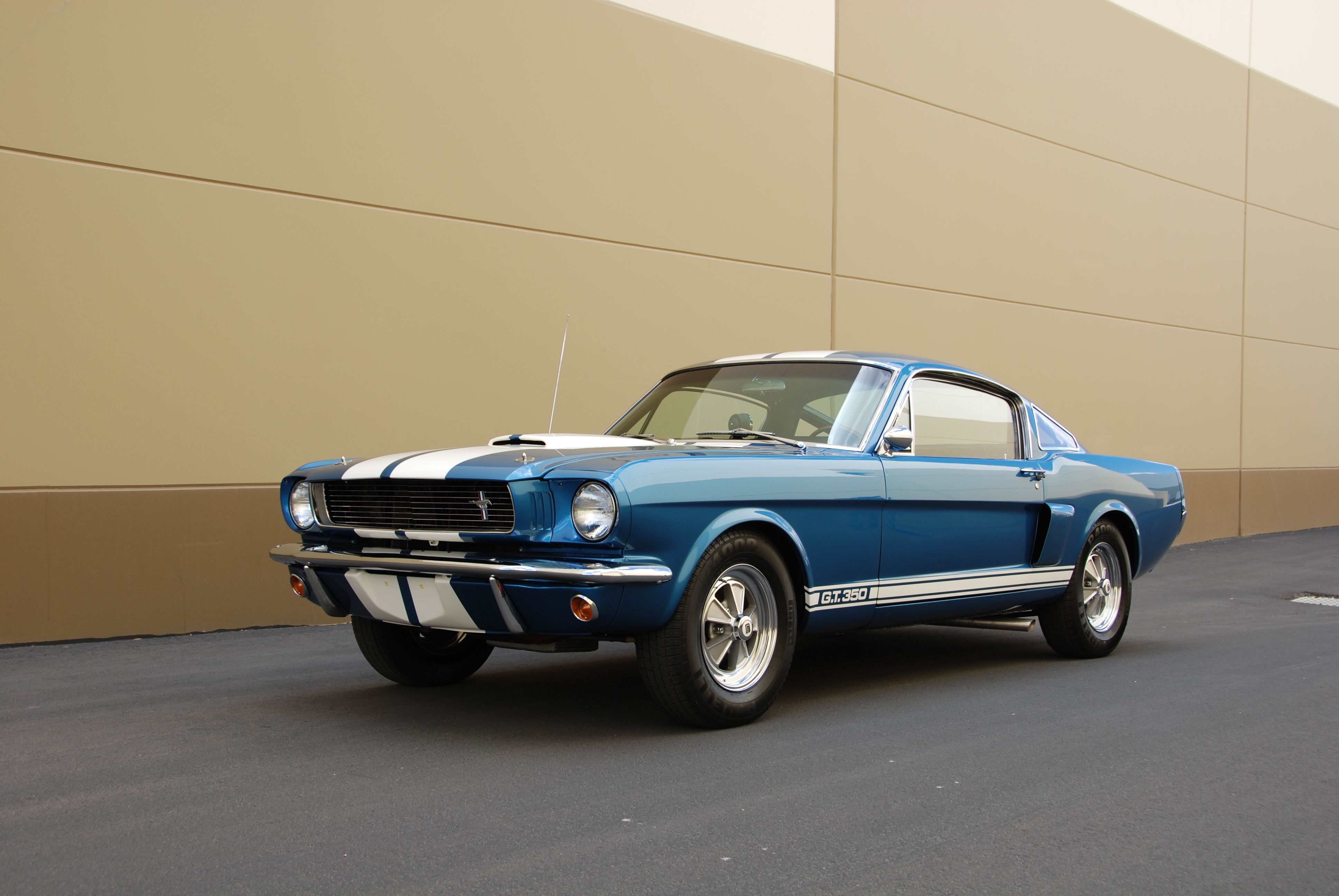 Blue Car Car Fastback Ford Shelby Gt350 Muscle Car 3872x2592