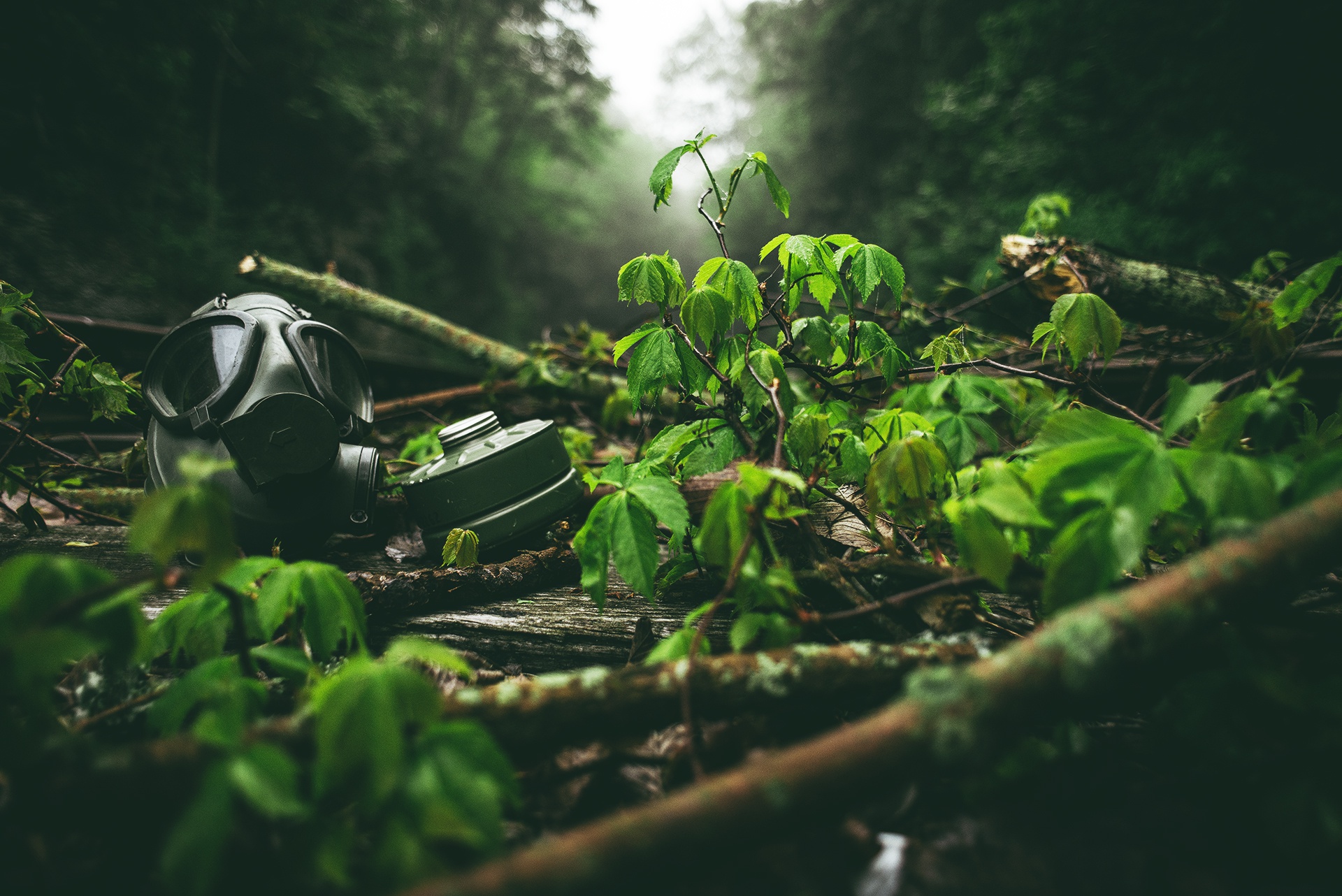 Gas Masks Mask Outdoors Branch Twigs Plants Leaves 1920x1282