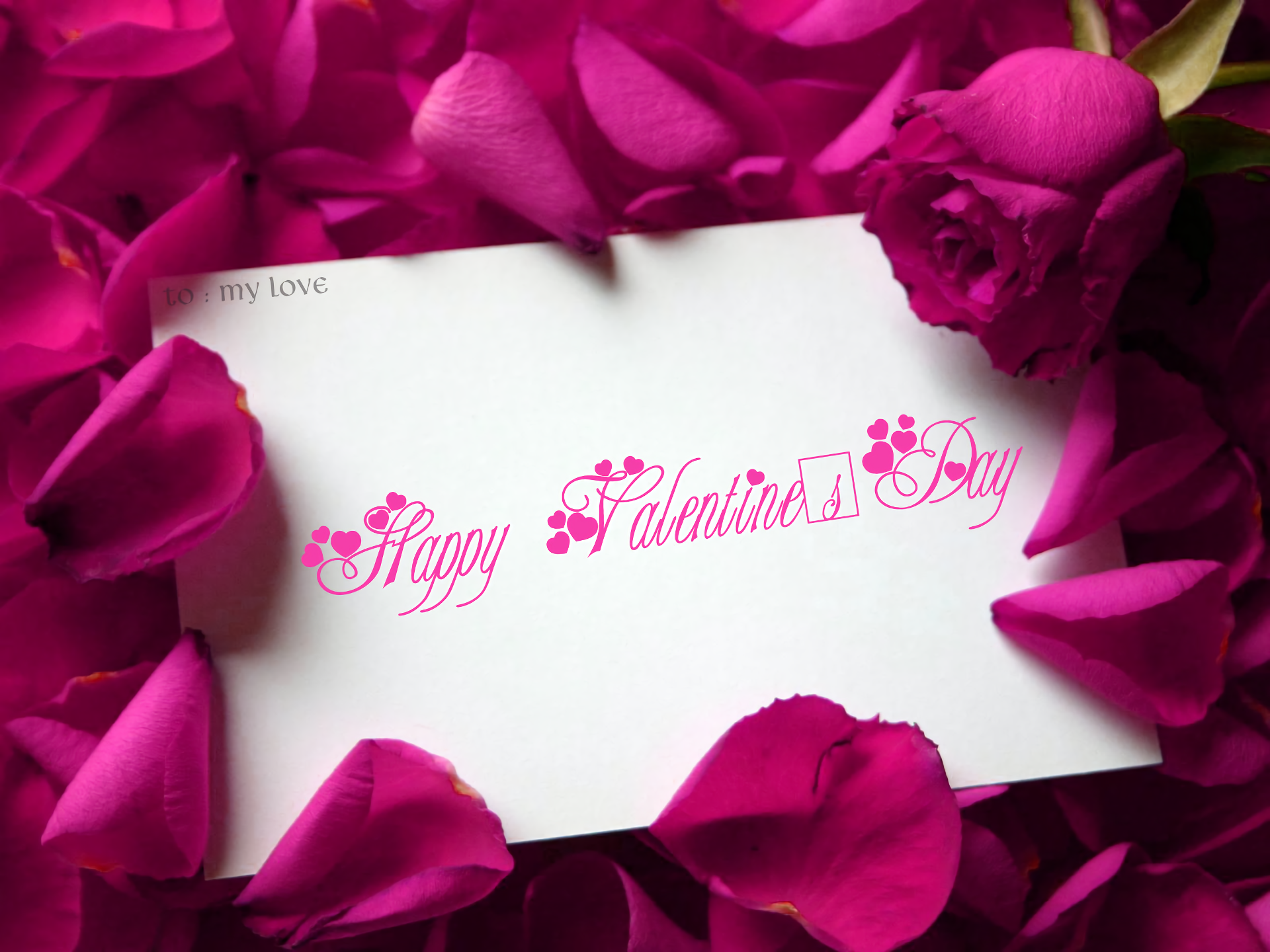 Happy Valentine 039 S Day Holiday Pink Flower Rose Valentine 039 S Day 1920x1440